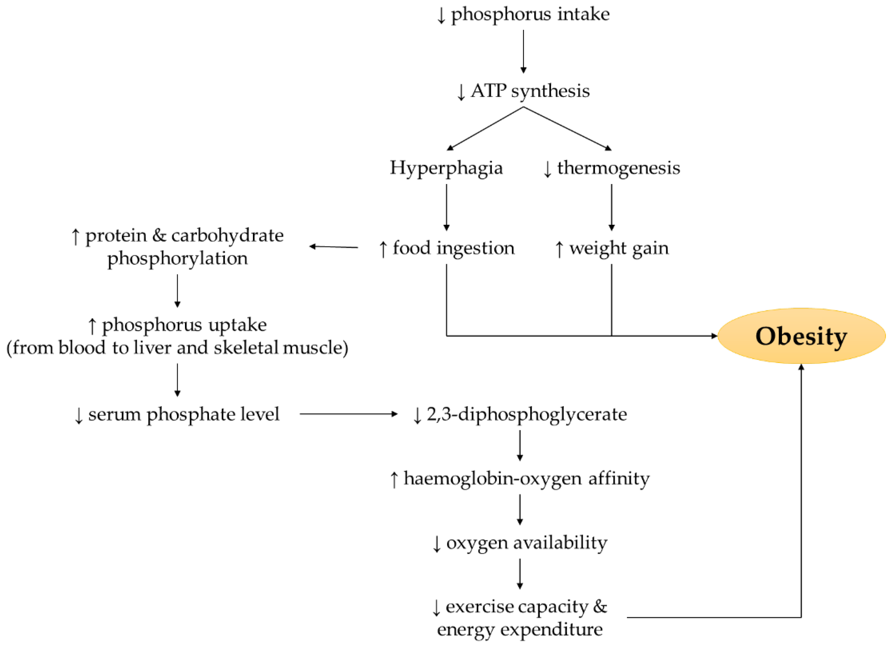 Nutrients 14 04525 g001