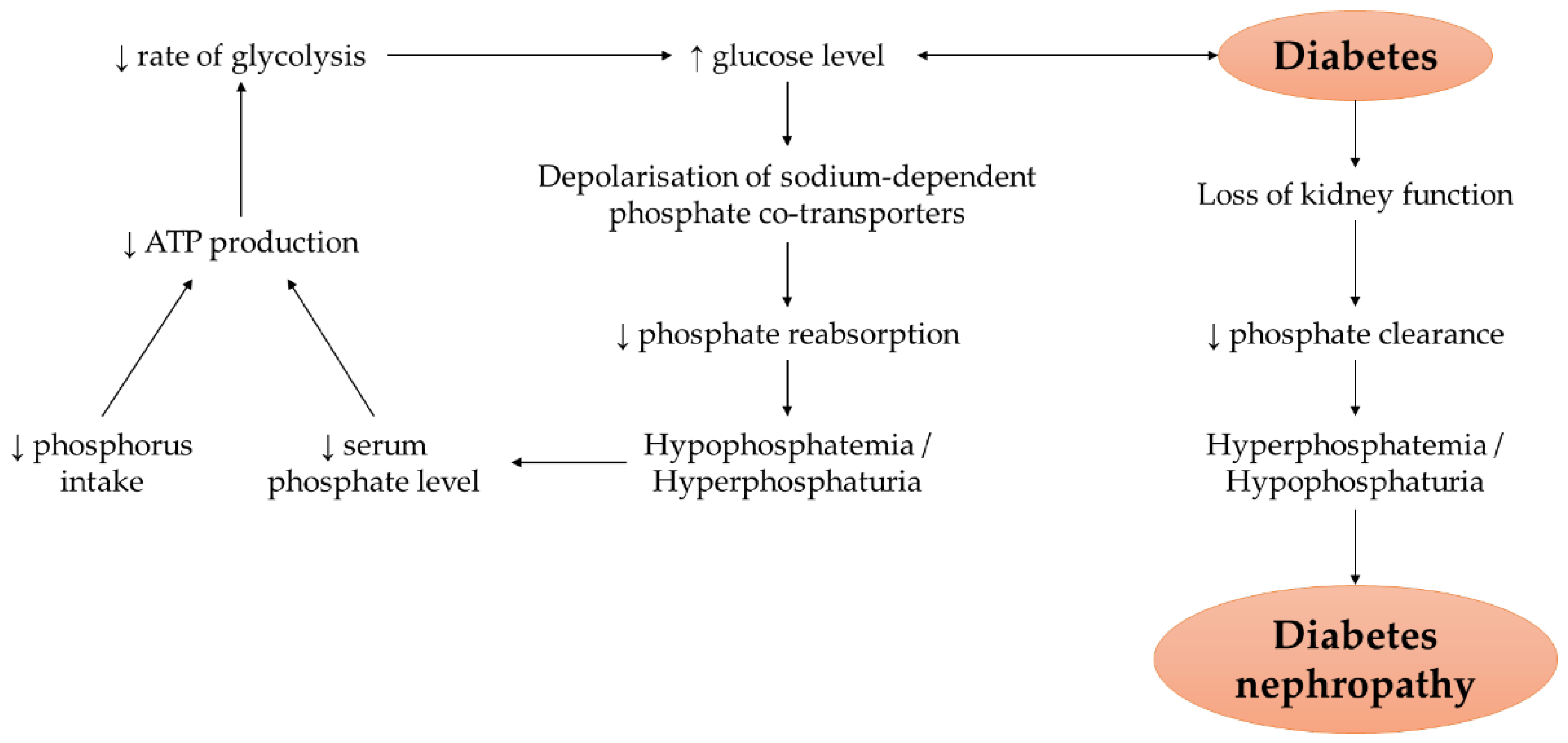 Nutrients 14 04525 g002
