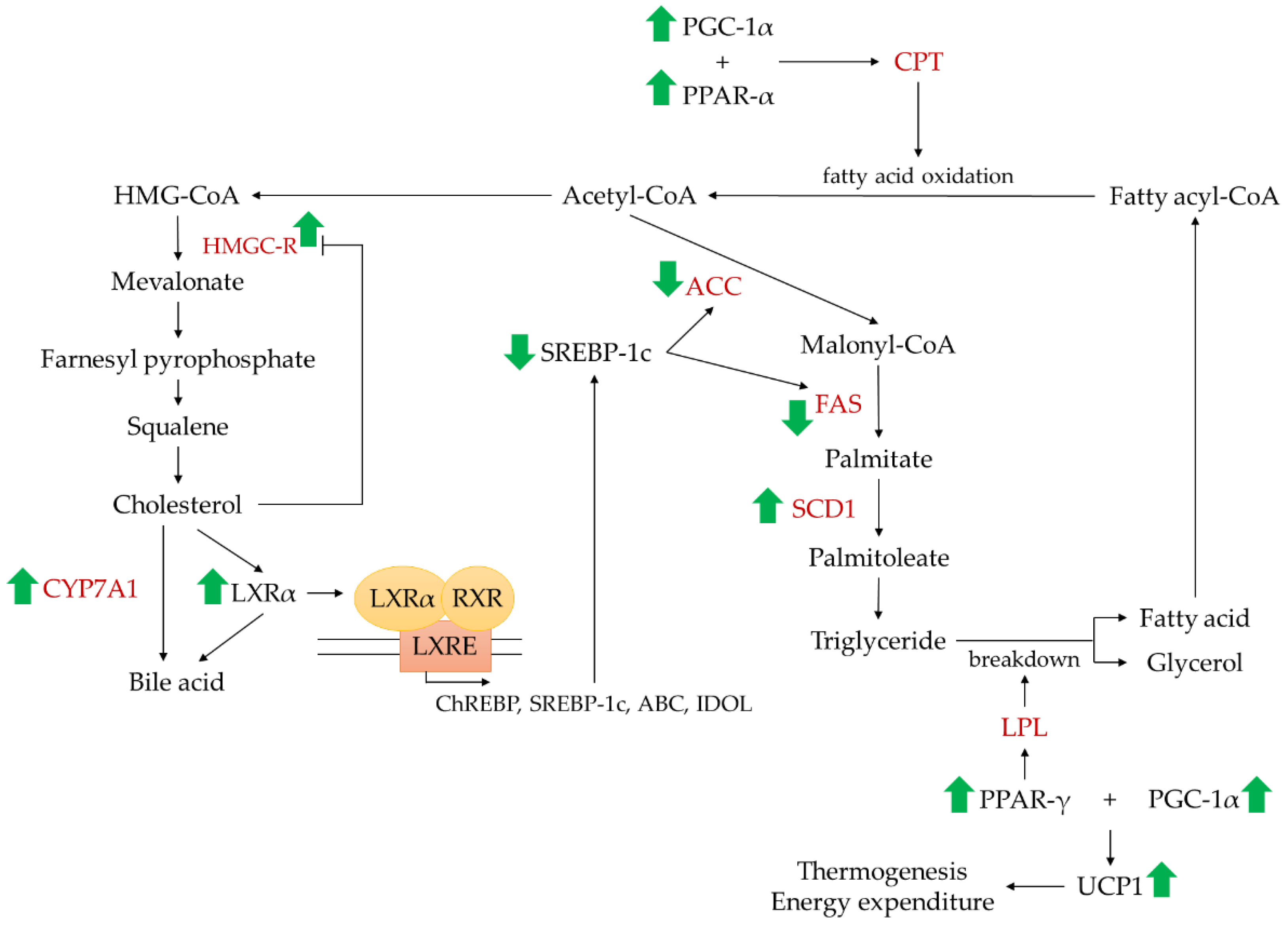 Nutrients 14 04525 g004