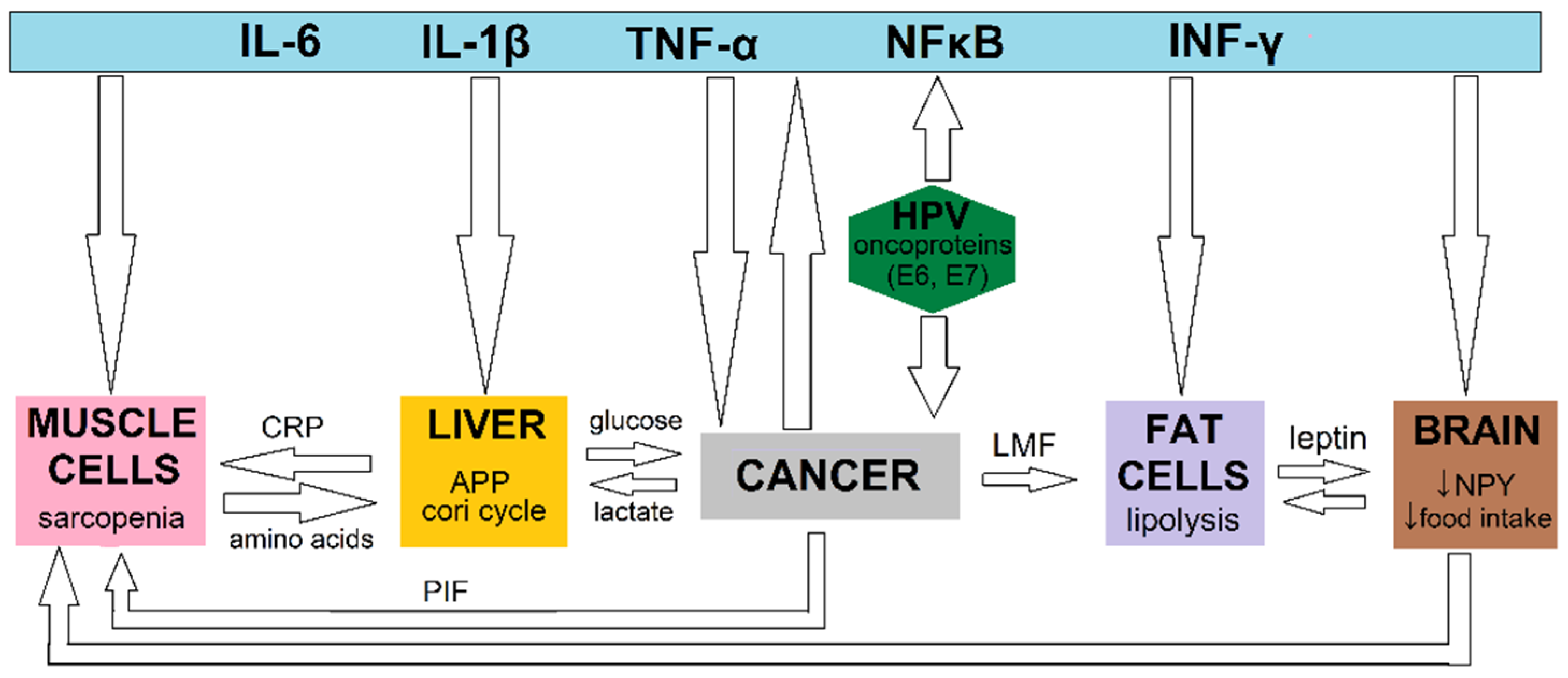 Nutrients 14 04528 g001