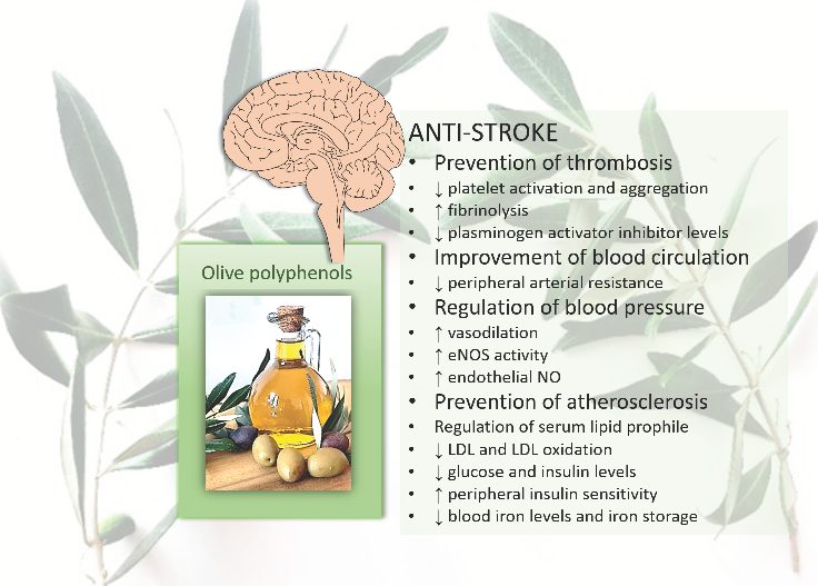 Nutrients 14 04533 g002