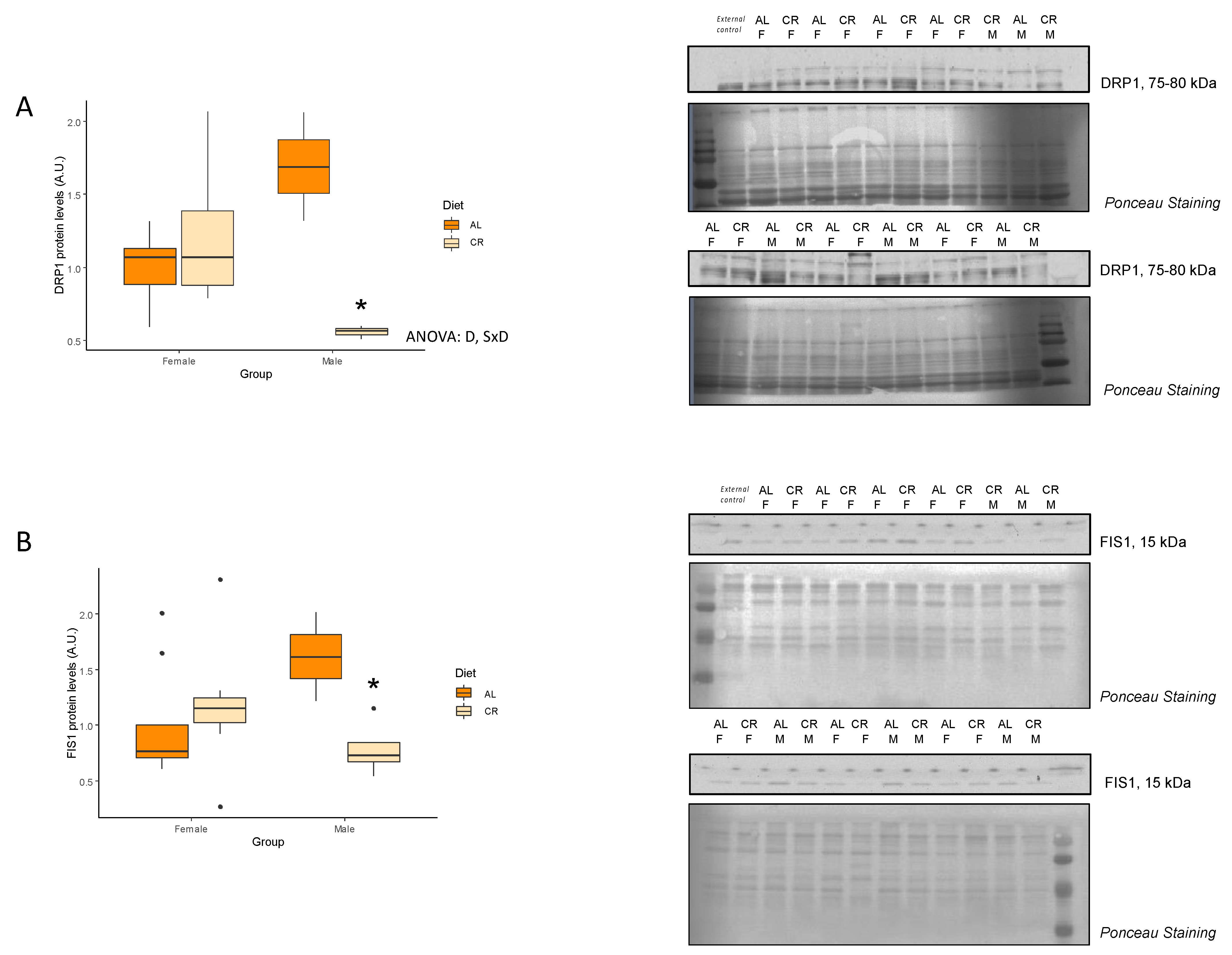 Nutrients 14 04535 g003