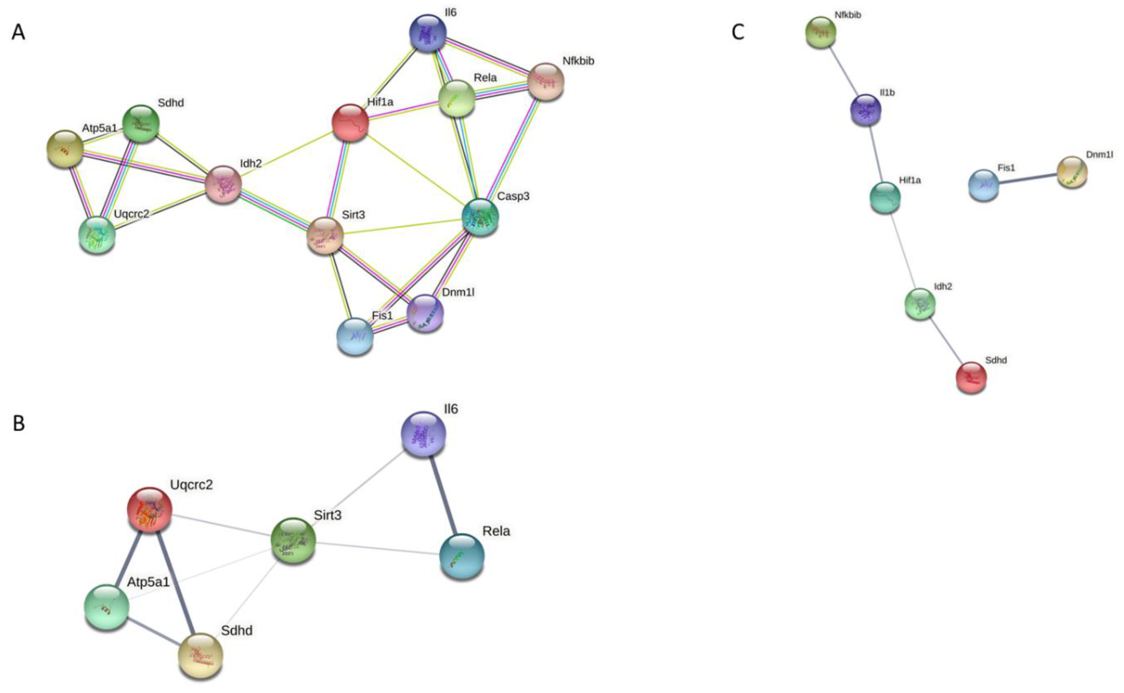 Nutrients 14 04535 g008