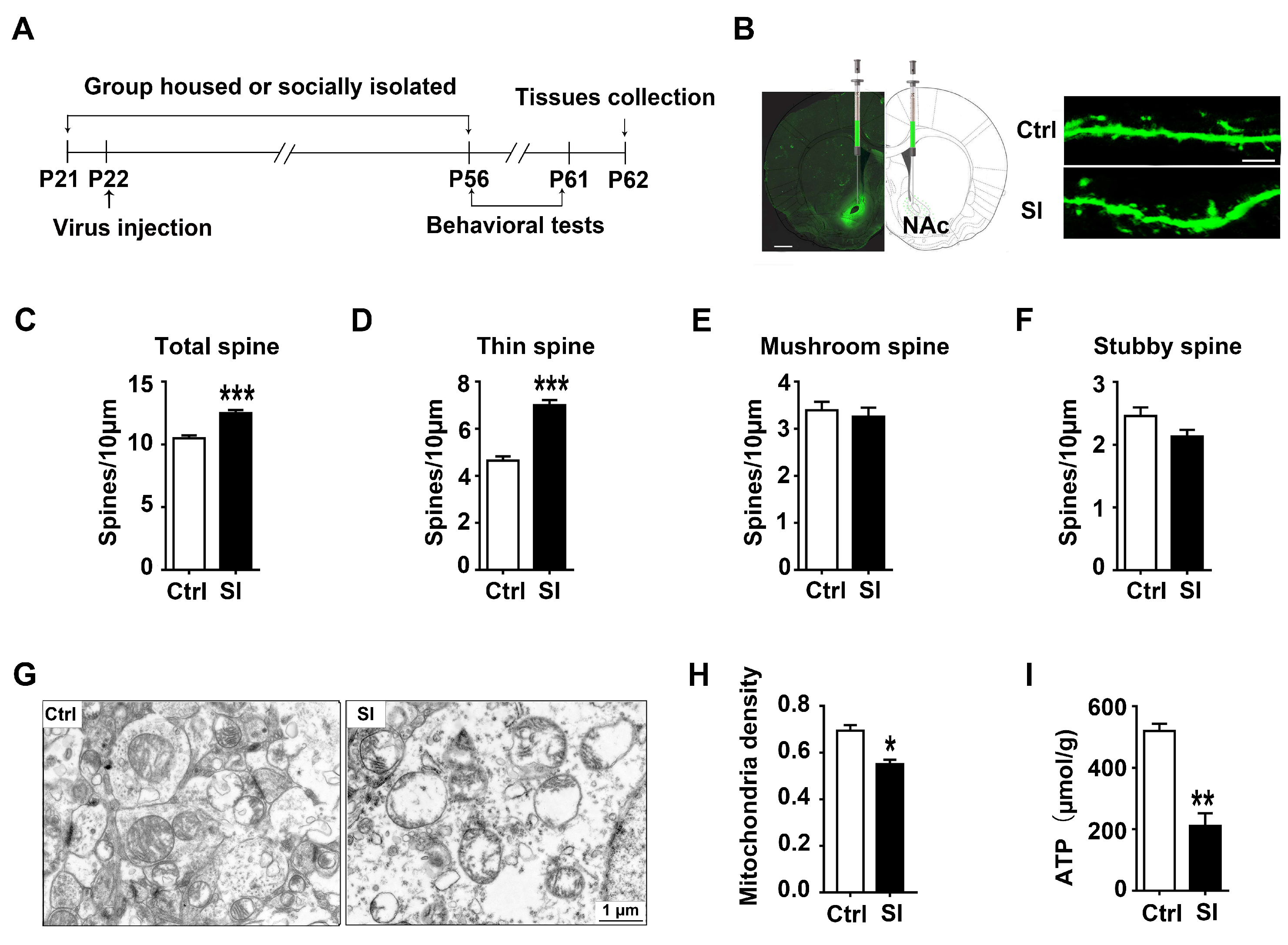 Nutrients 14 04542 g002