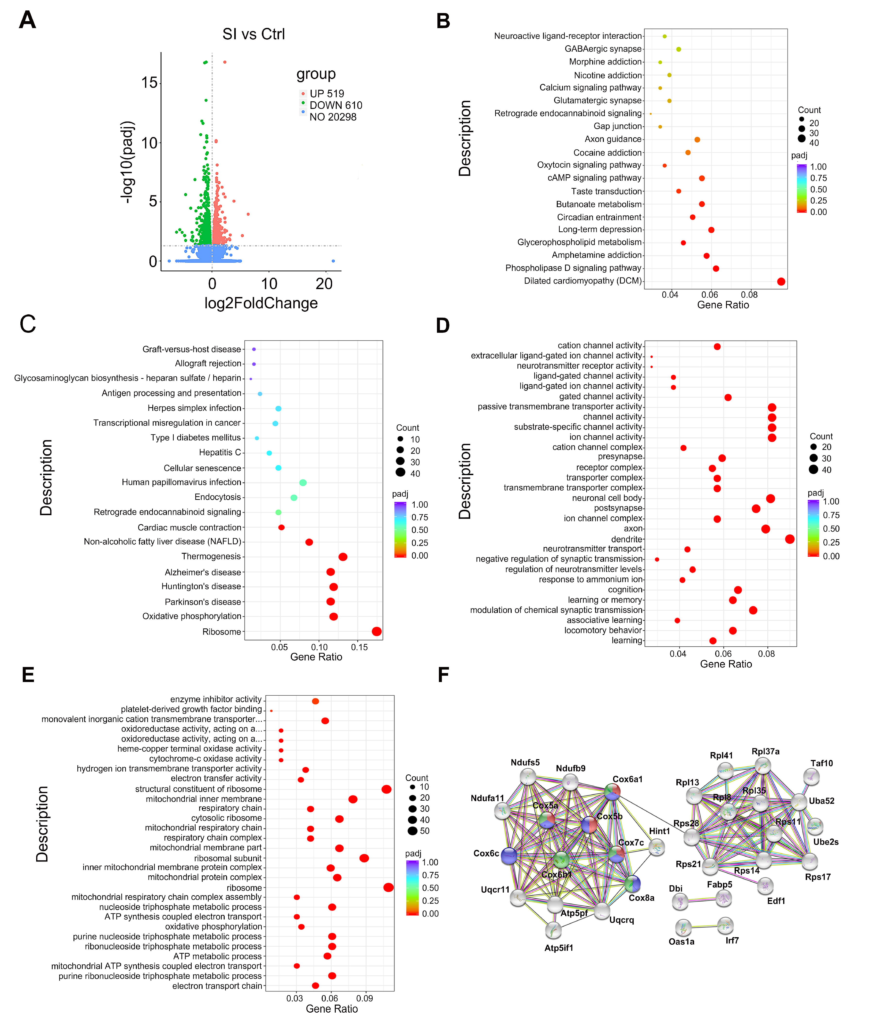 Nutrients 14 04542 g003