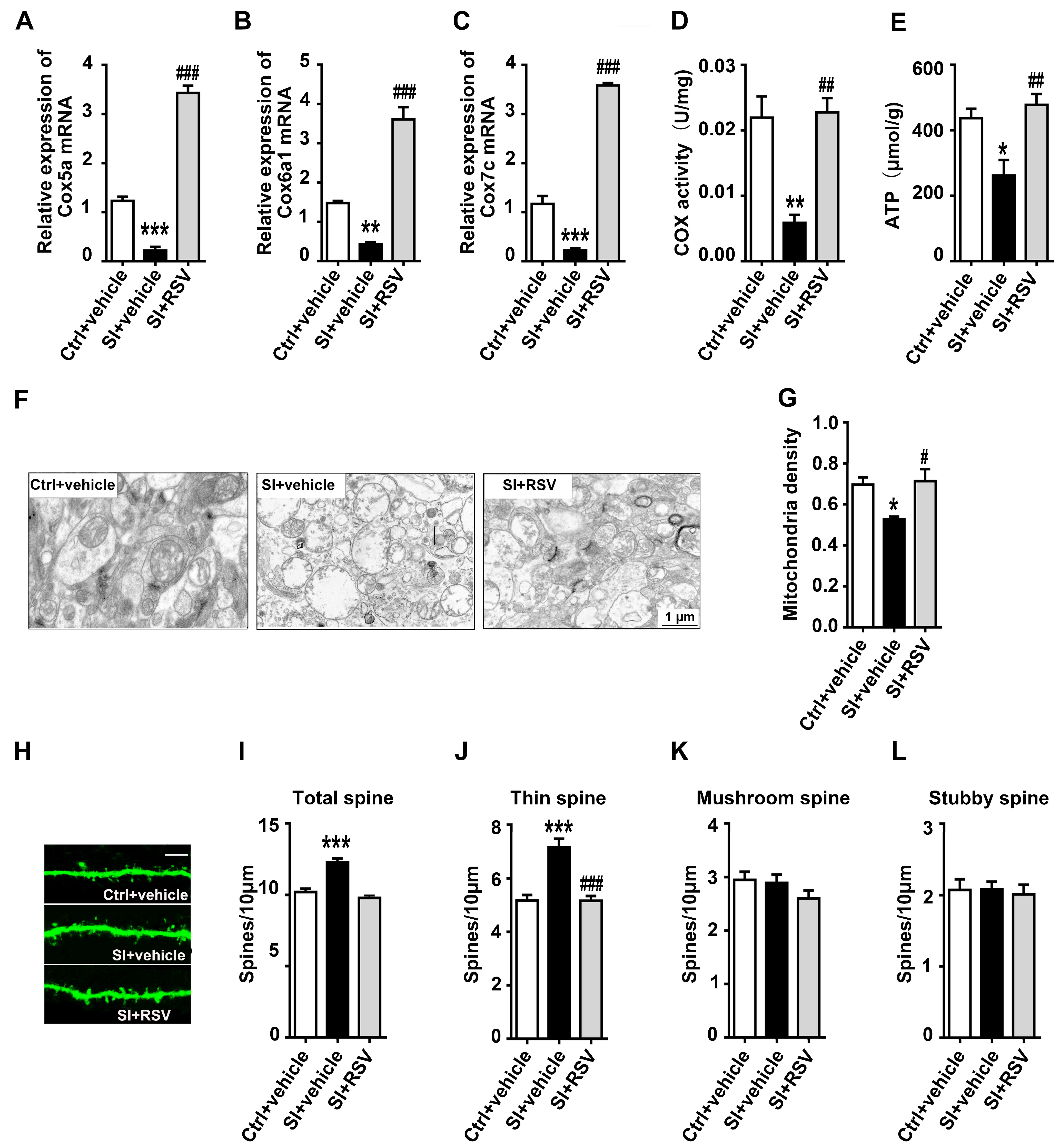 Nutrients 14 04542 g005
