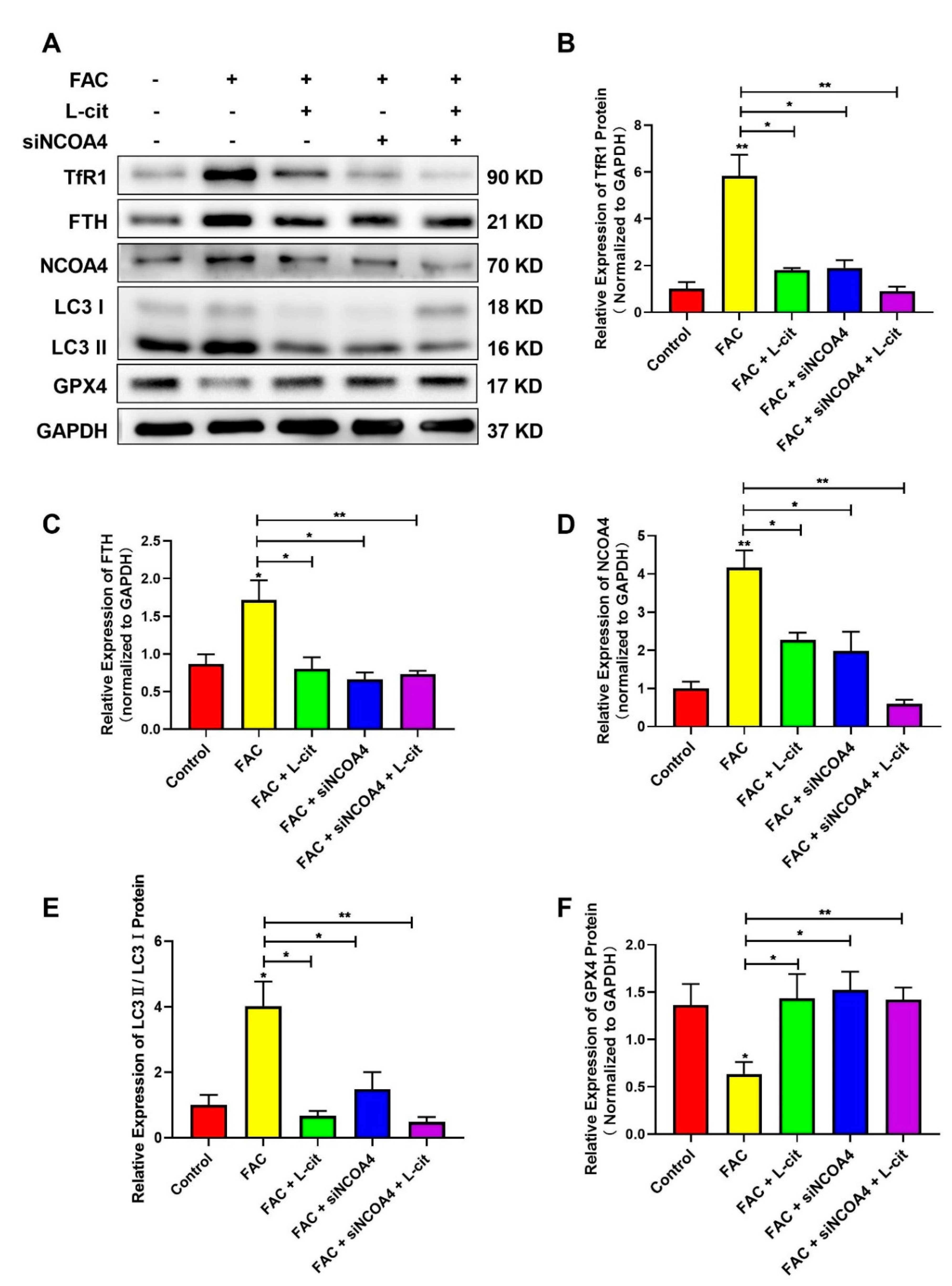 Nutrients 14 04549 g008