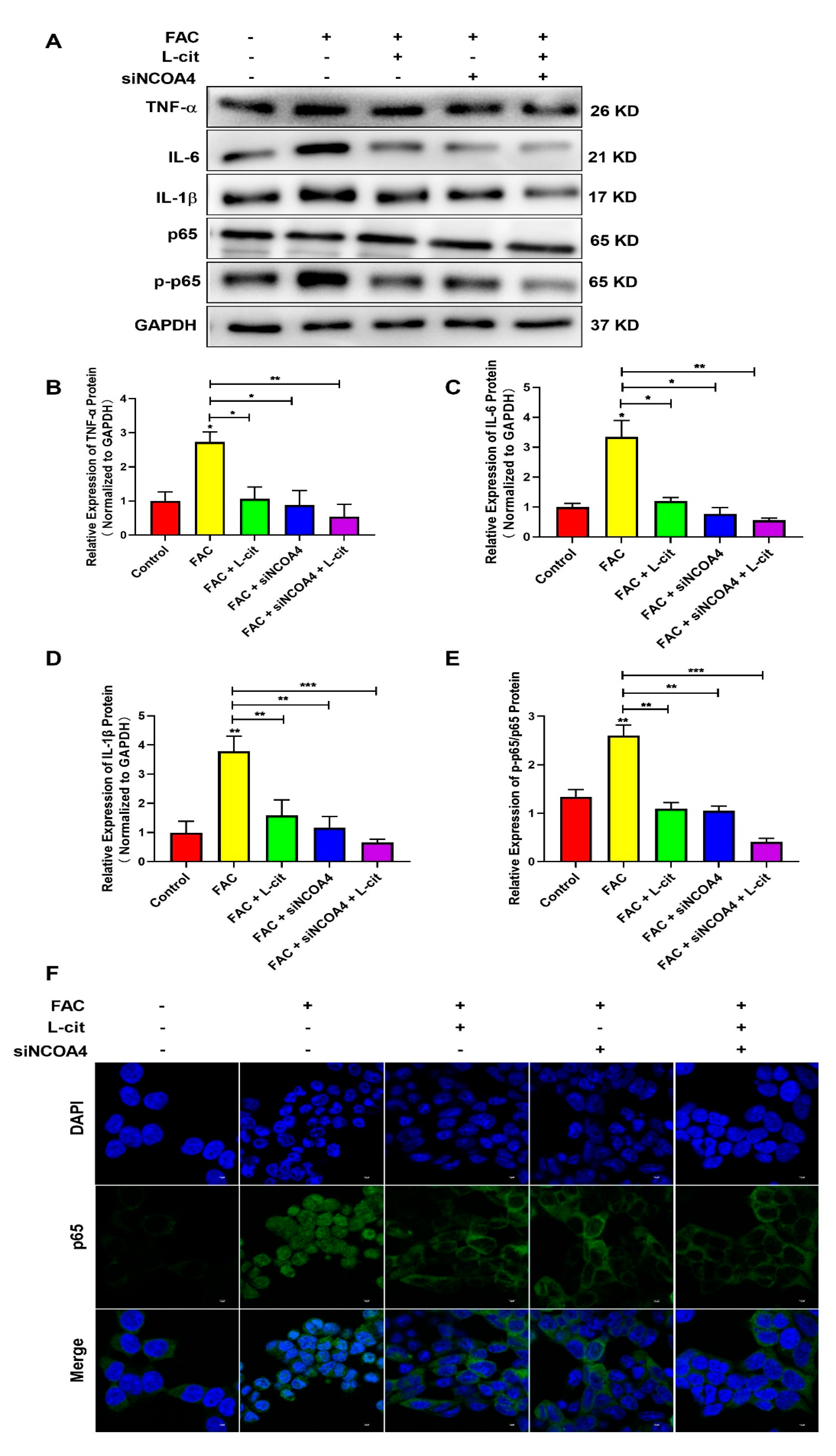 Nutrients 14 04549 g009