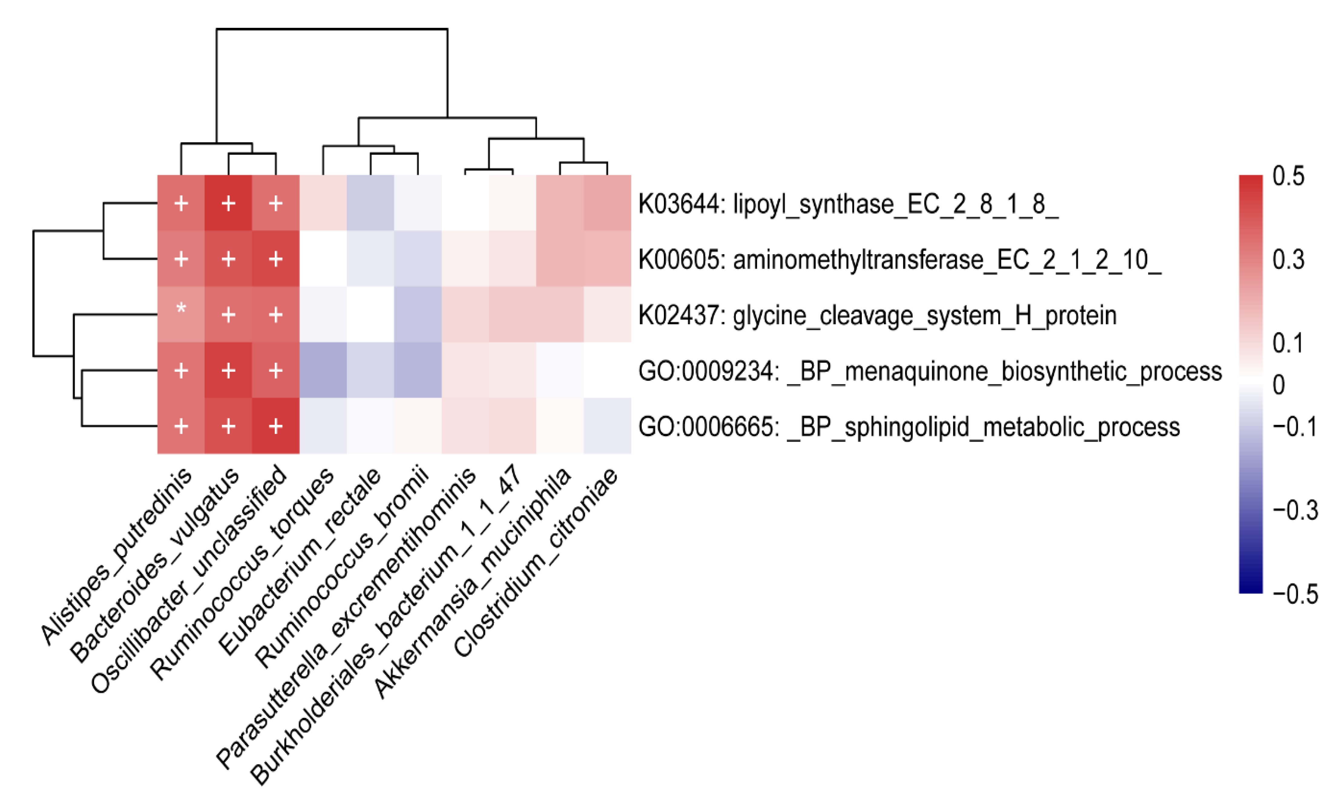 Nutrients 14 04582 g006 Nutrients 14 04582 g006