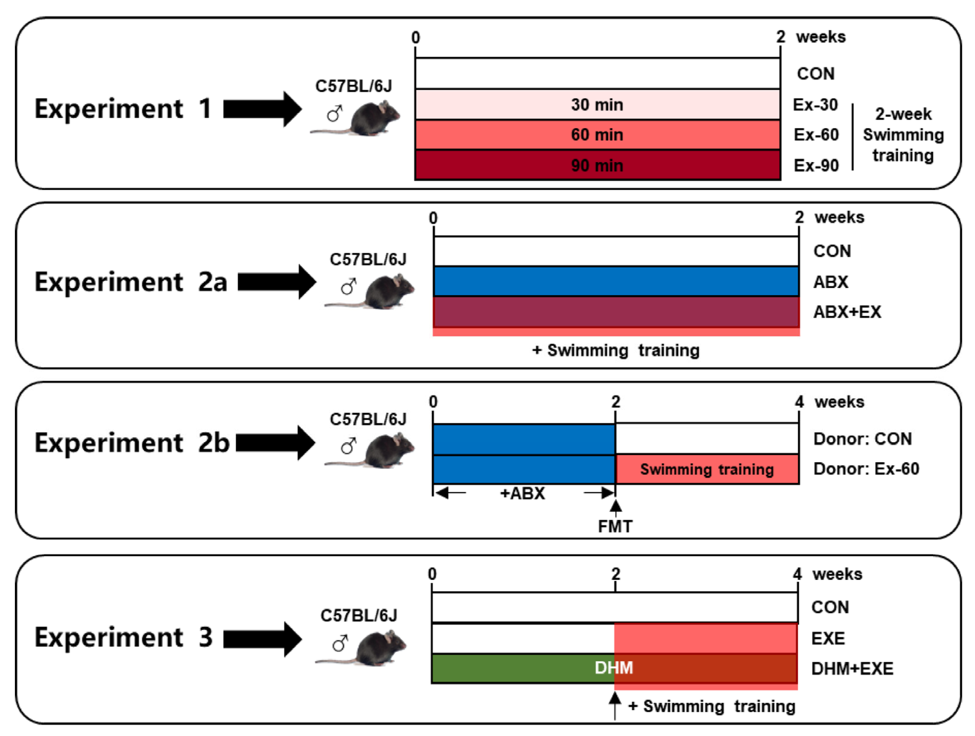 Nutrients 14 04583 g001 Nutrients 14 04583 g001