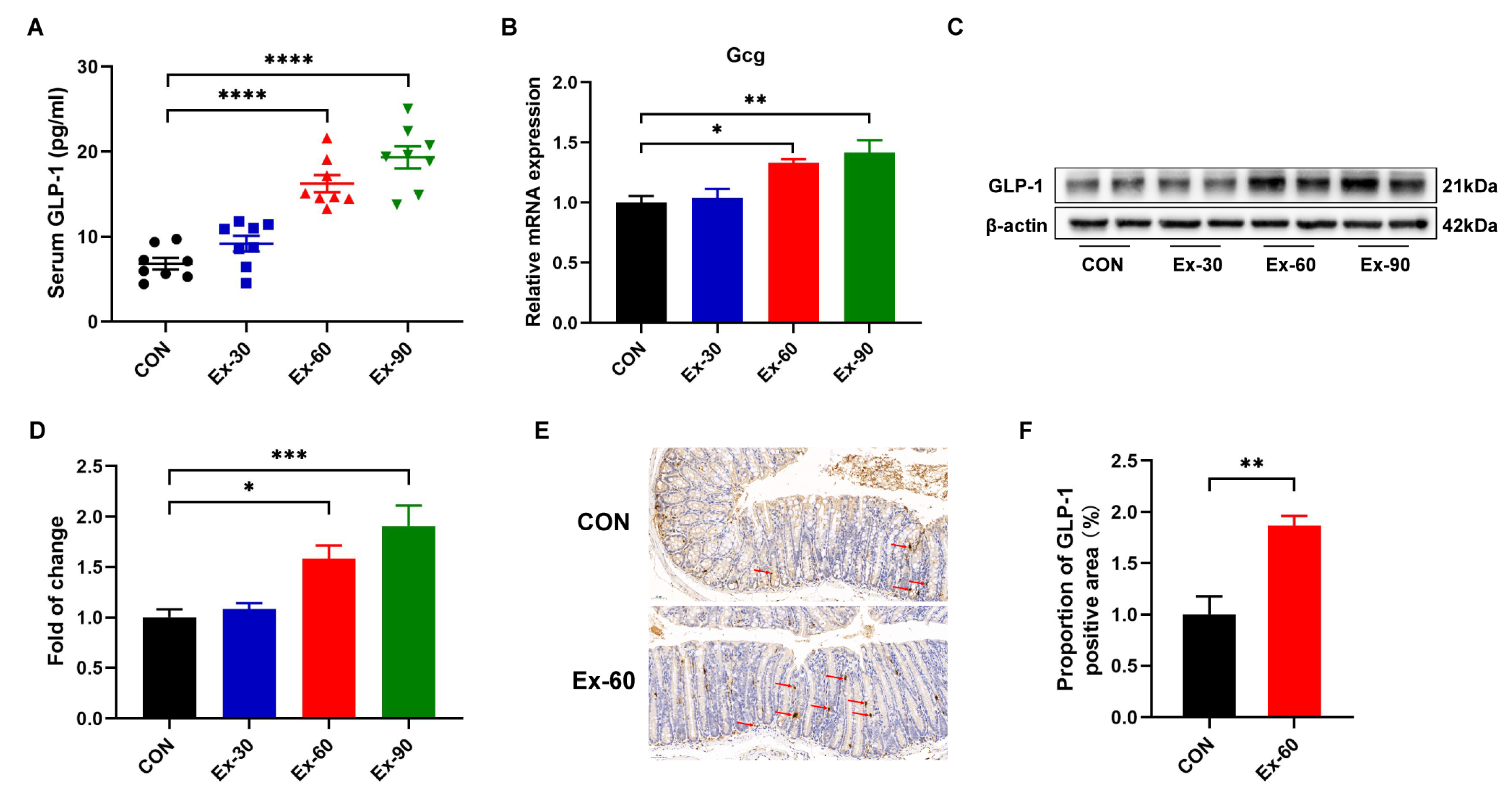 Nutrients 14 04583 g002 Nutrients 14 04583 g002
