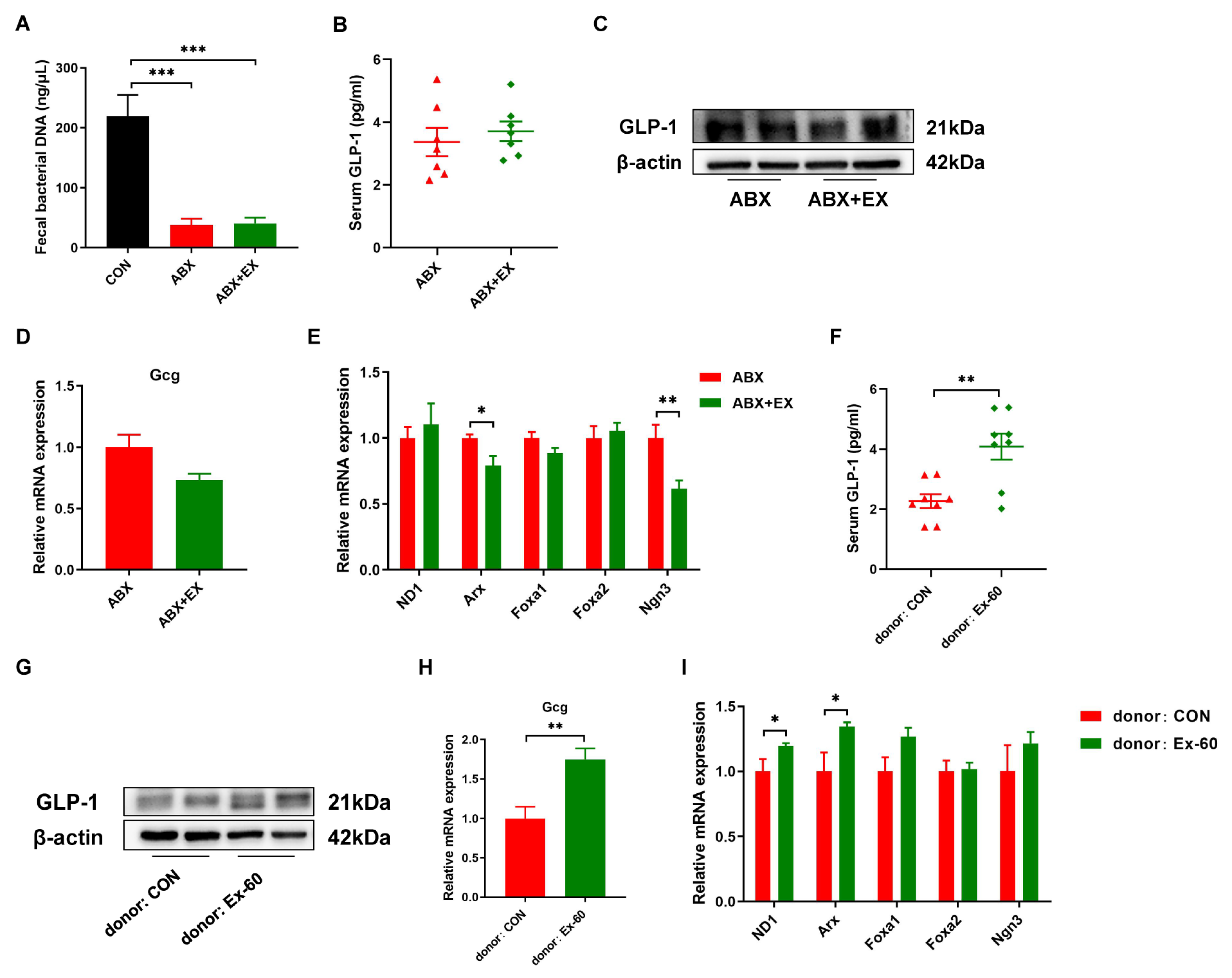 Nutrients 14 04583 g005 Nutrients 14 04583 g005