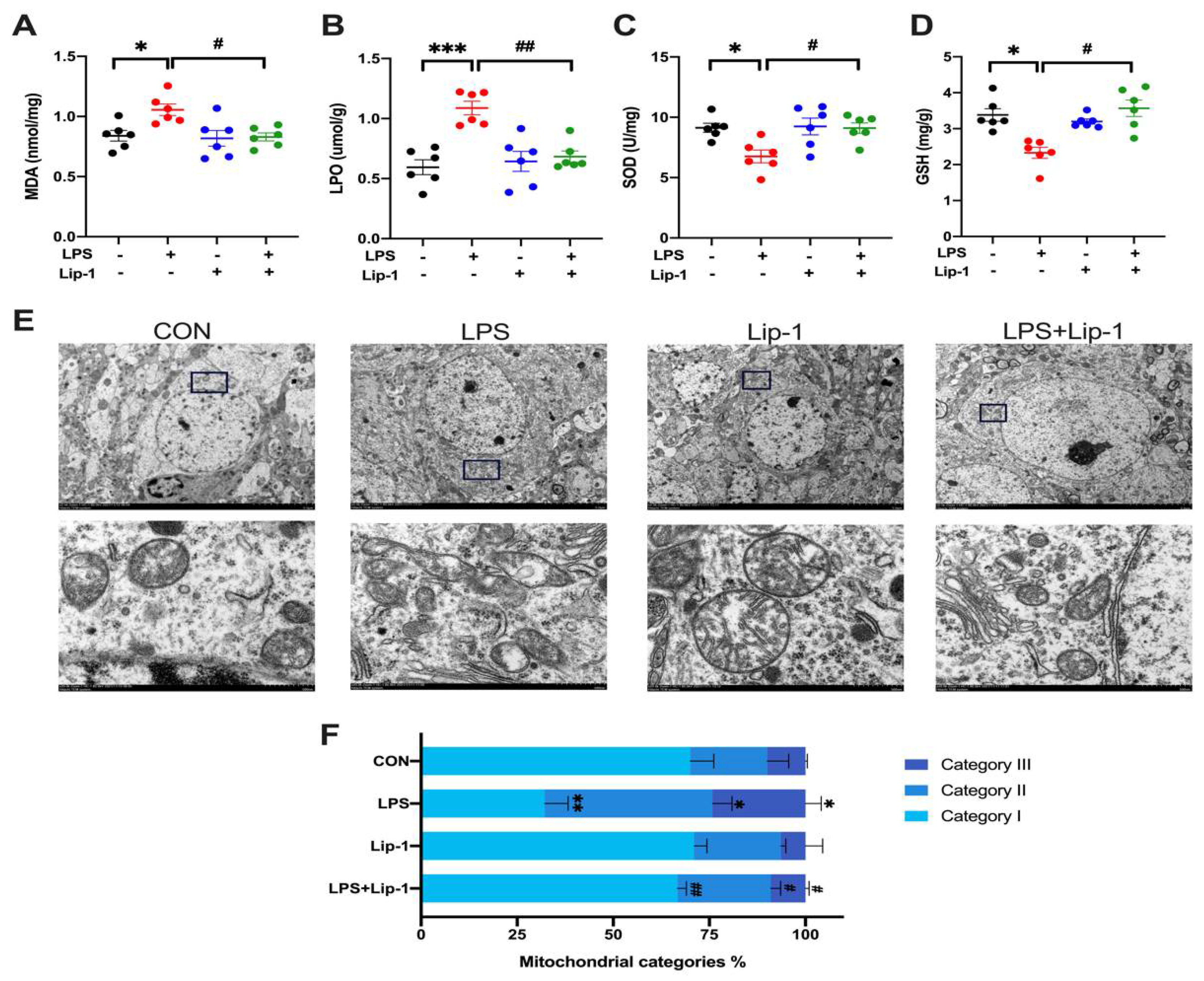 Nutrients 14 04599 g005 Nutrients 14 04599 g005