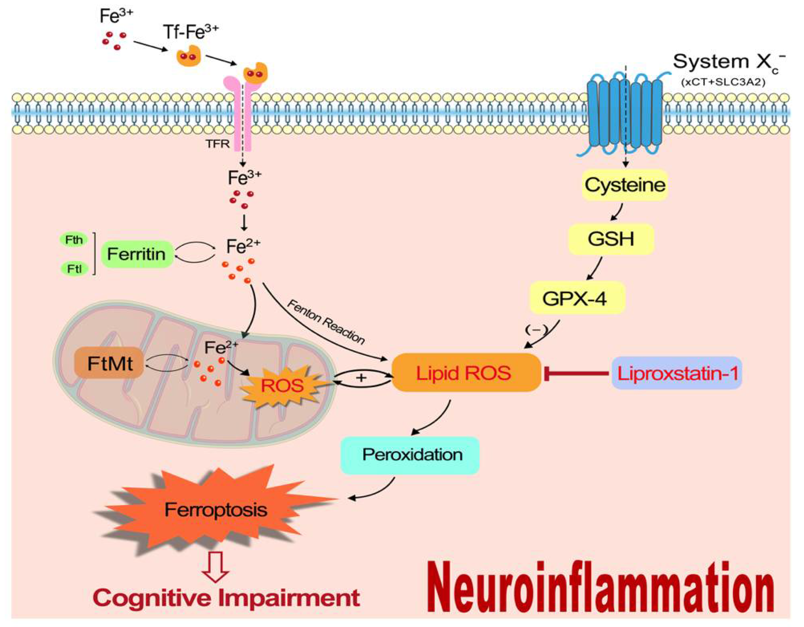 Nutrients 14 04599 g008 Nutrients 14 04599 g008