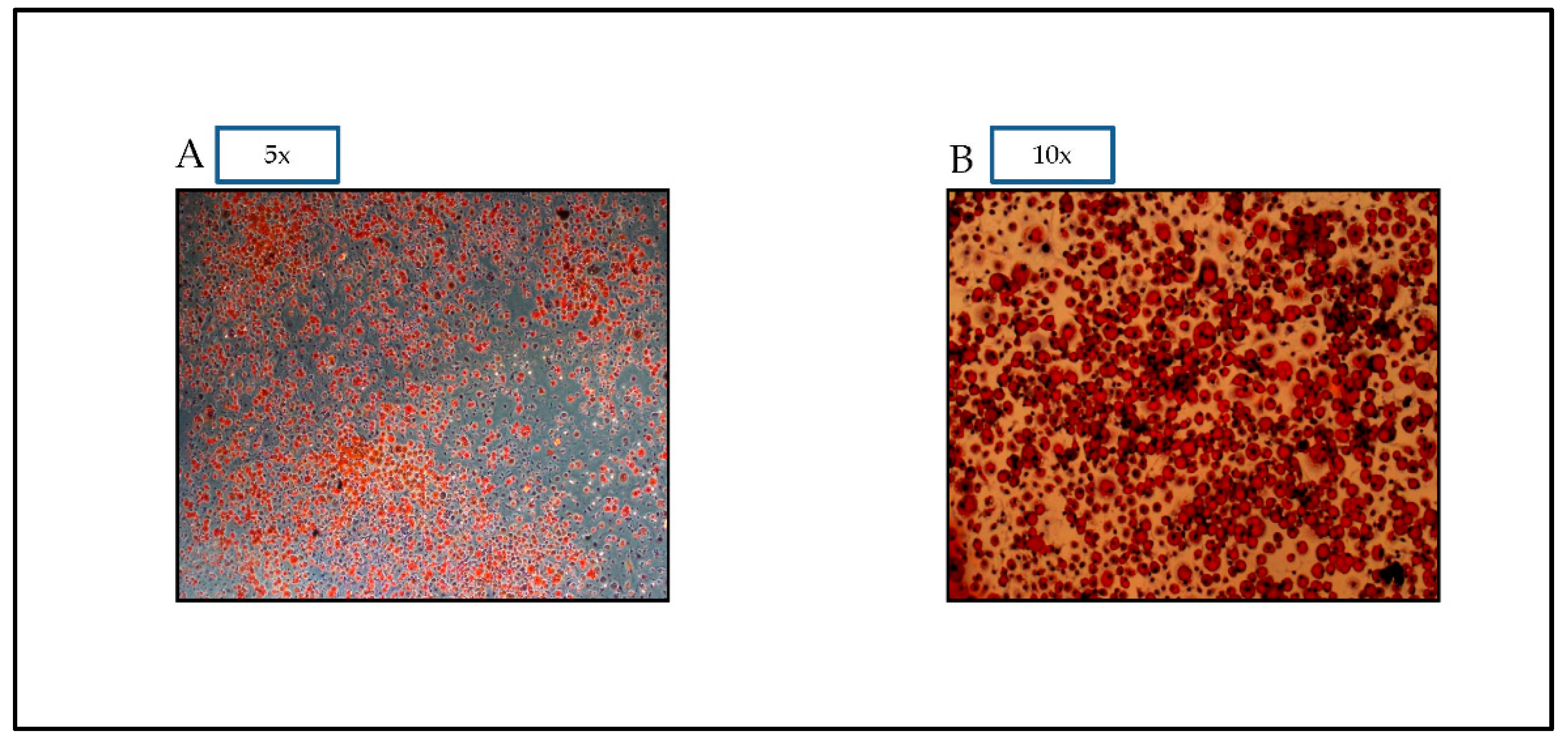 Nutrients 14 04600 g001