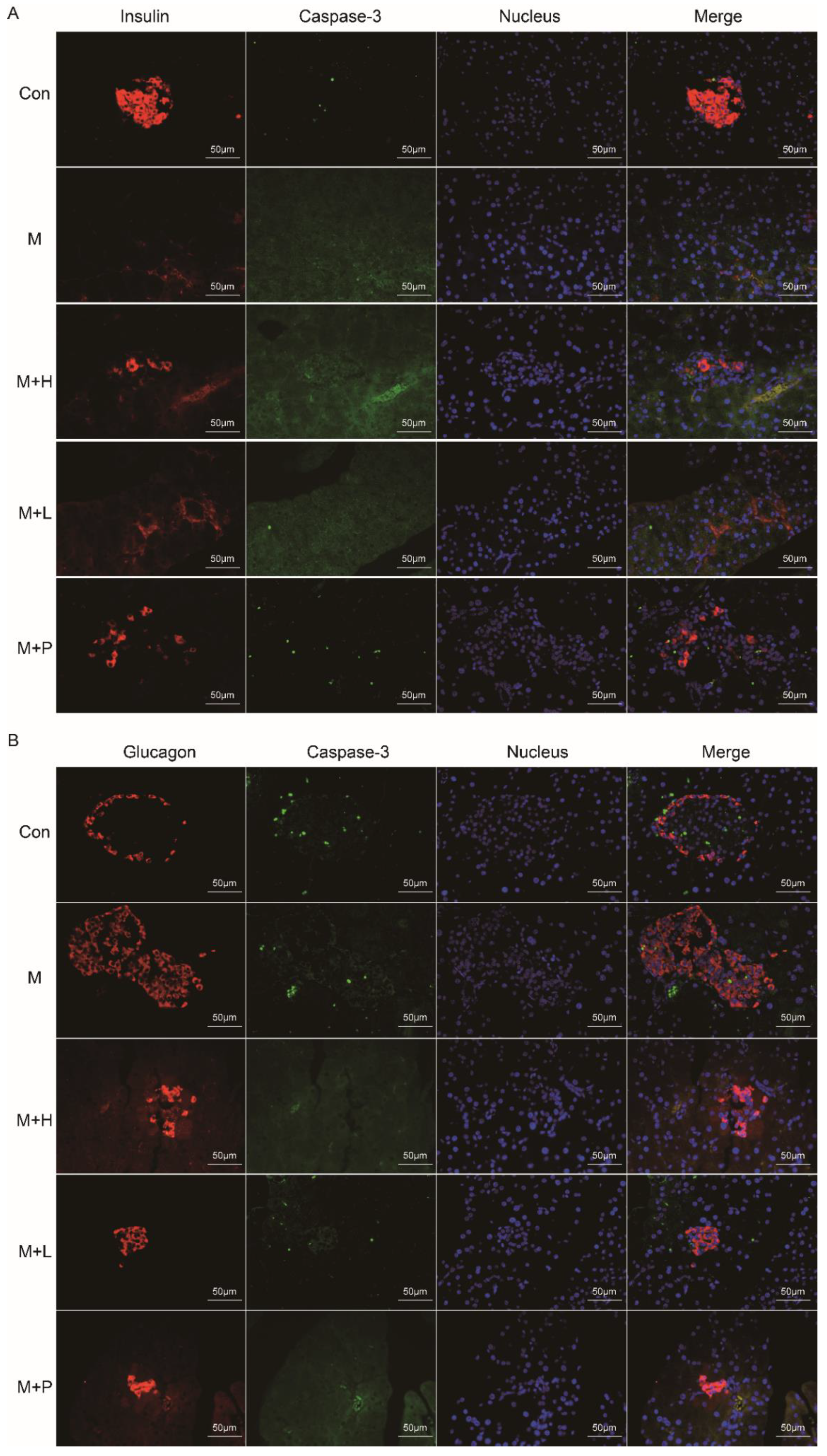 Nutrients 14 04620 g004