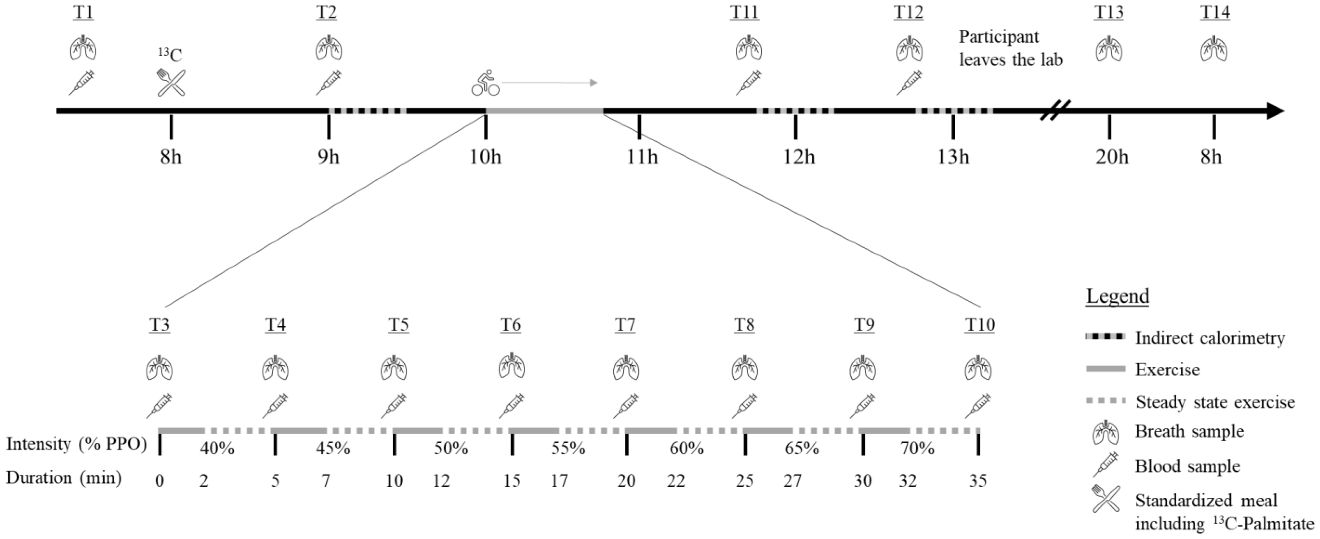 Nutrients 14 04638 g001 Nutrients 14 04638 g001