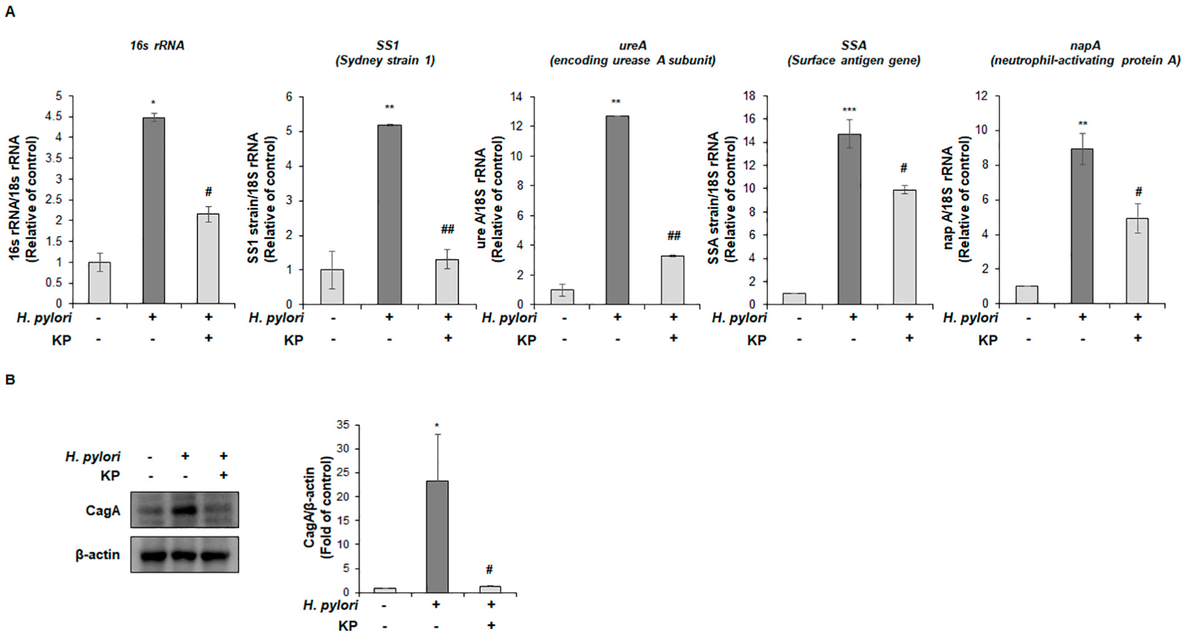 Nutrients 14 04644 g002 Nutrients 14 04644 g002