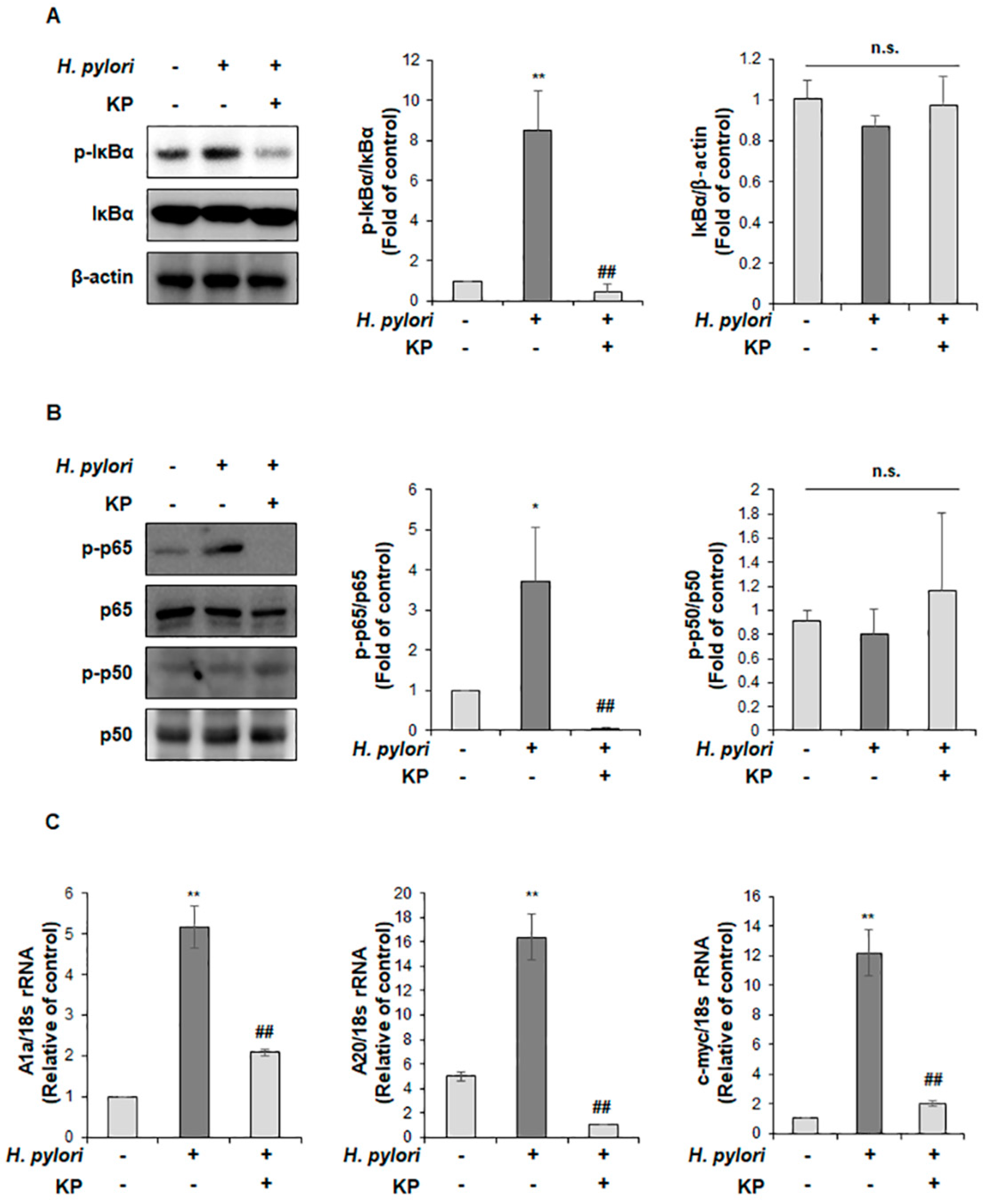 Nutrients 14 04644 g004 Nutrients 14 04644 g004