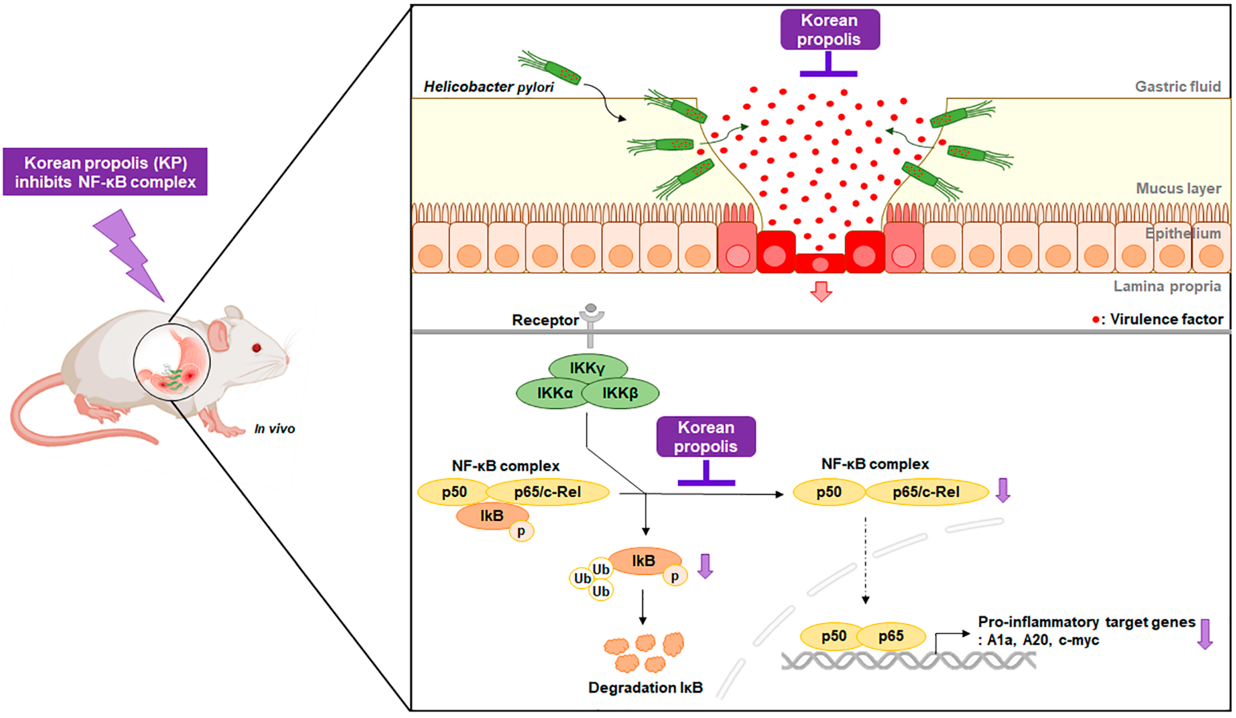Nutrients 14 04644 g005 Nutrients 14 04644 g005