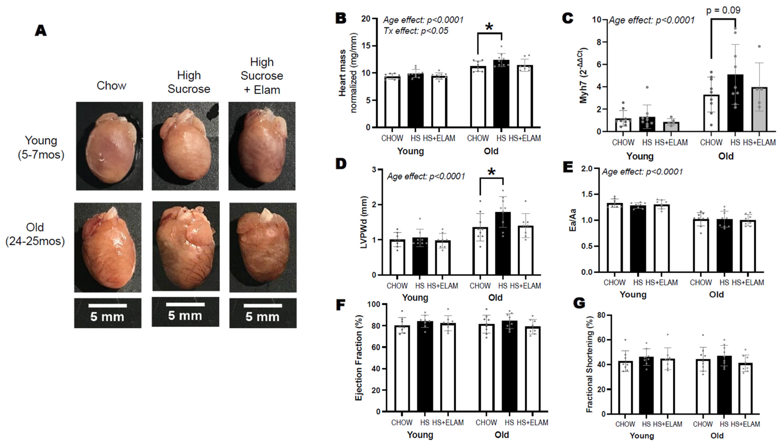 Nutrients 14 04645 g003