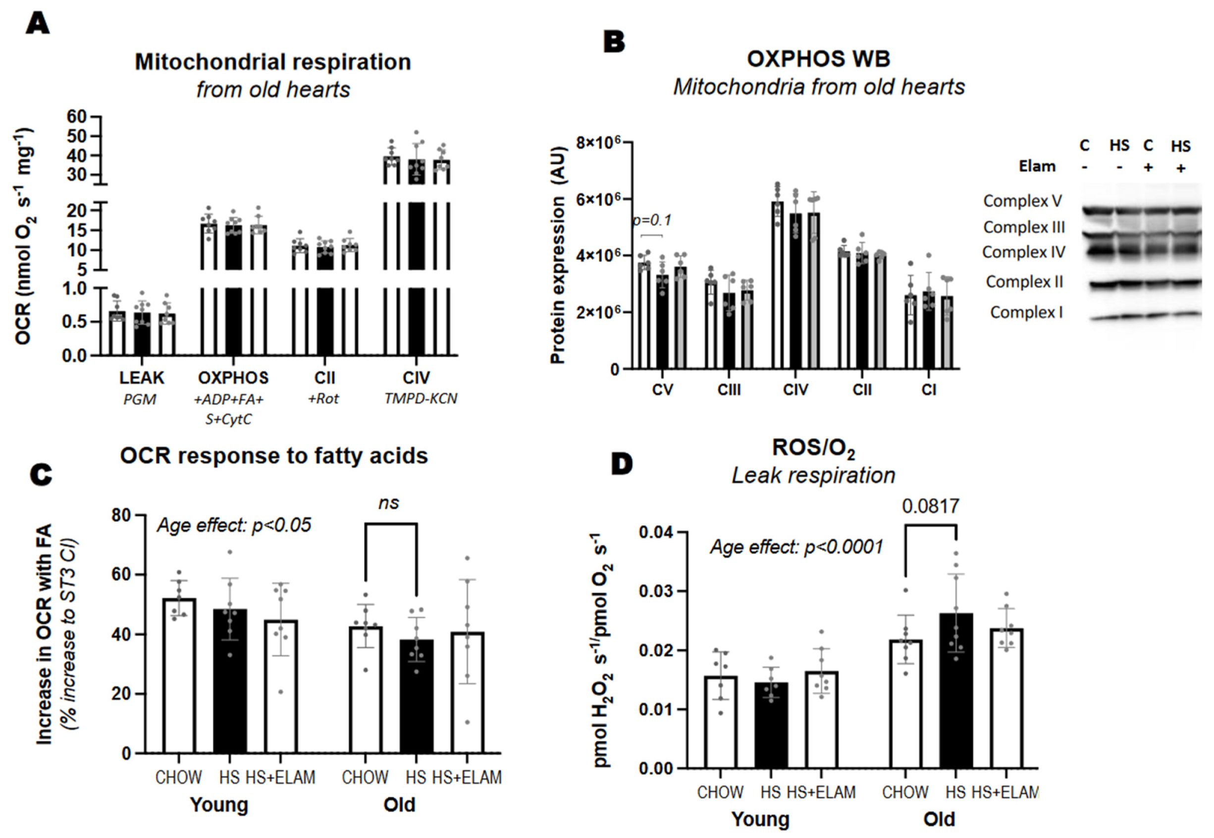 Nutrients 14 04645 g004
