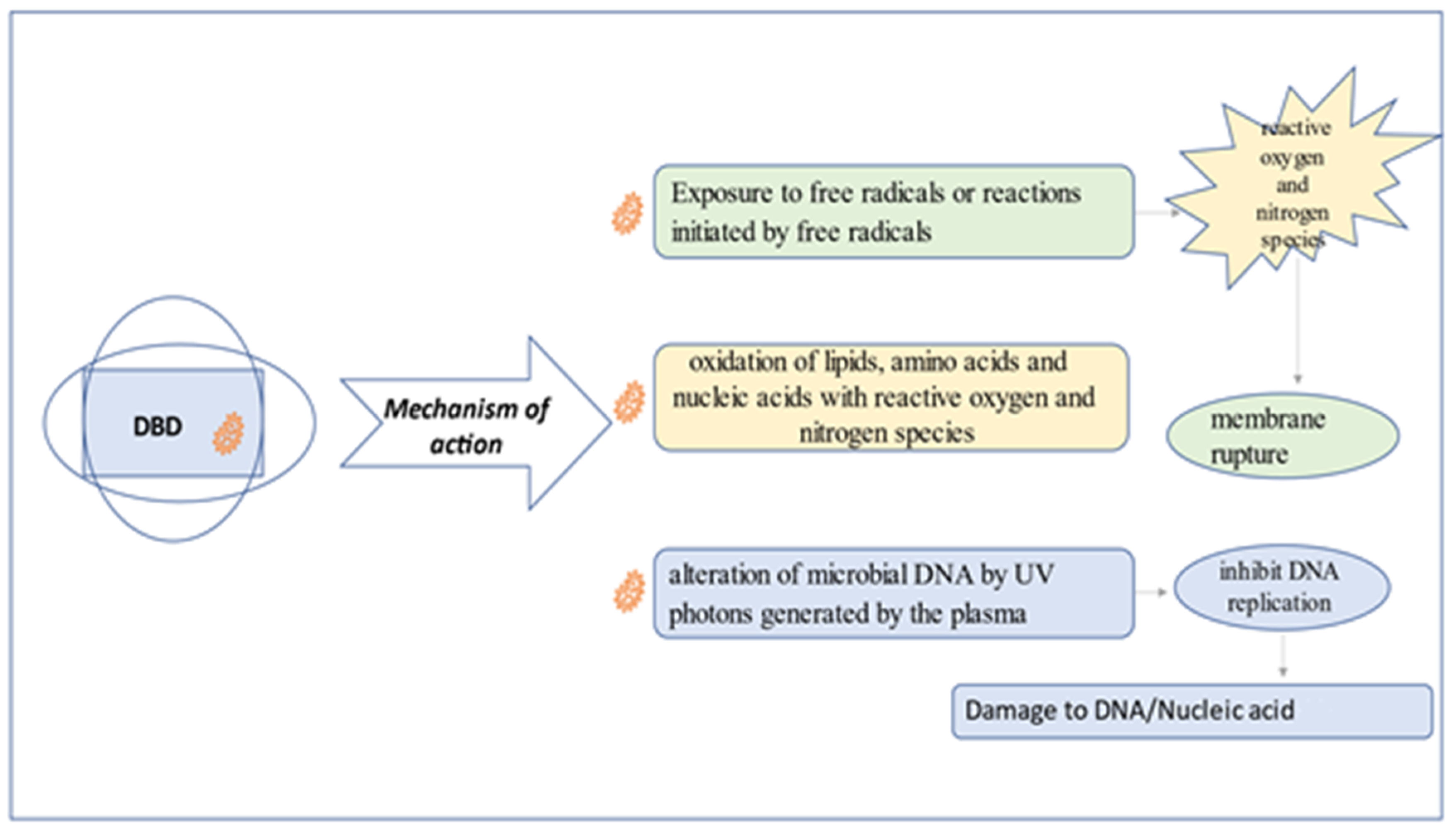 Nutrients 14 04653 g002 Nutrients 14 04653 g002