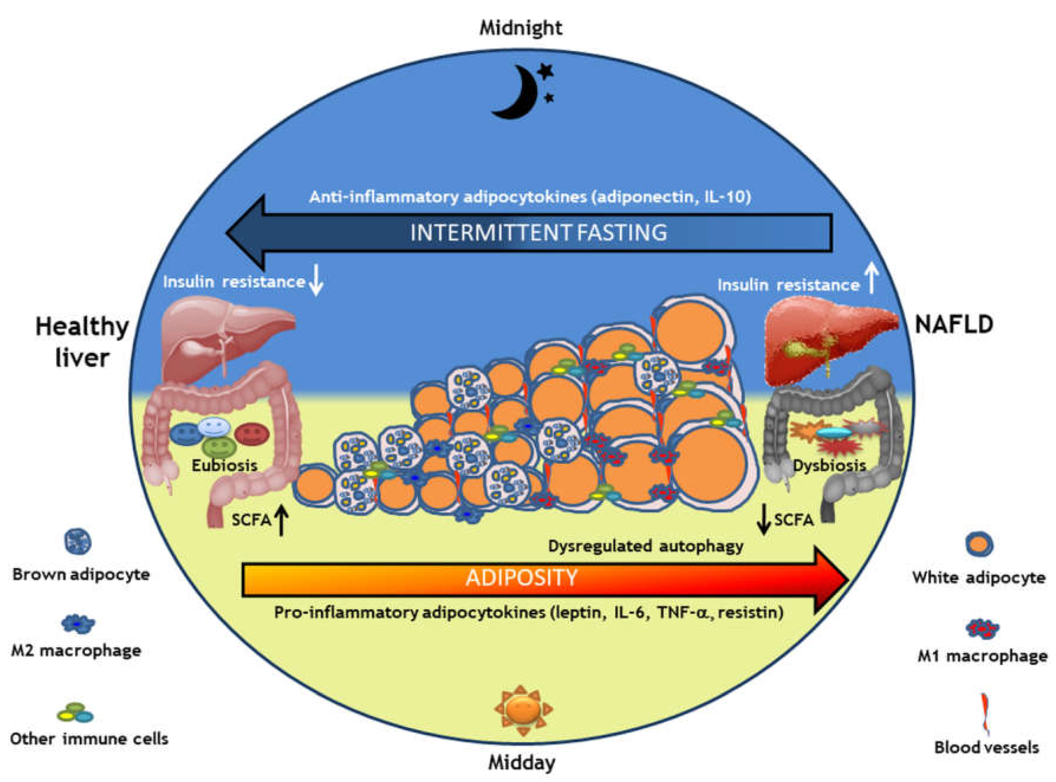 Nutrients 14 04655 g001
