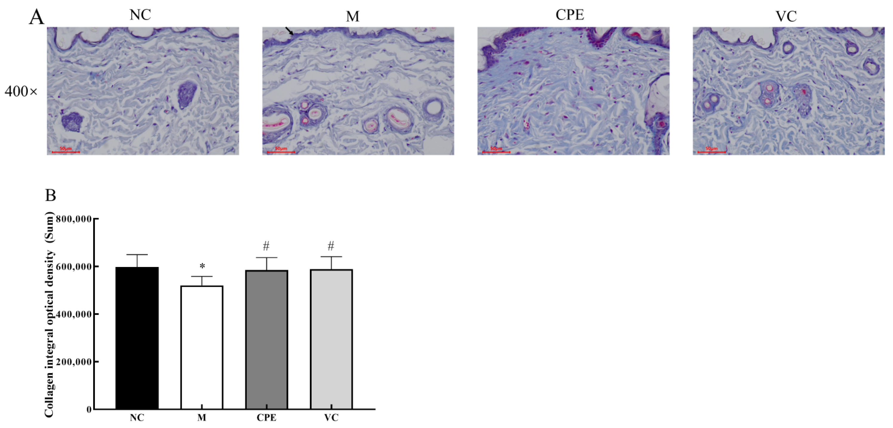 Nutrients 14 04659 g005