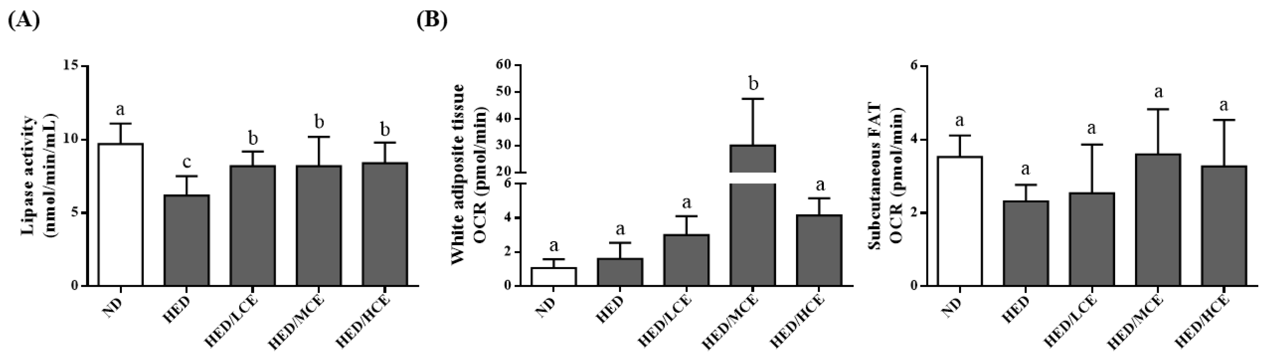 Nutrients 14 04665 g004