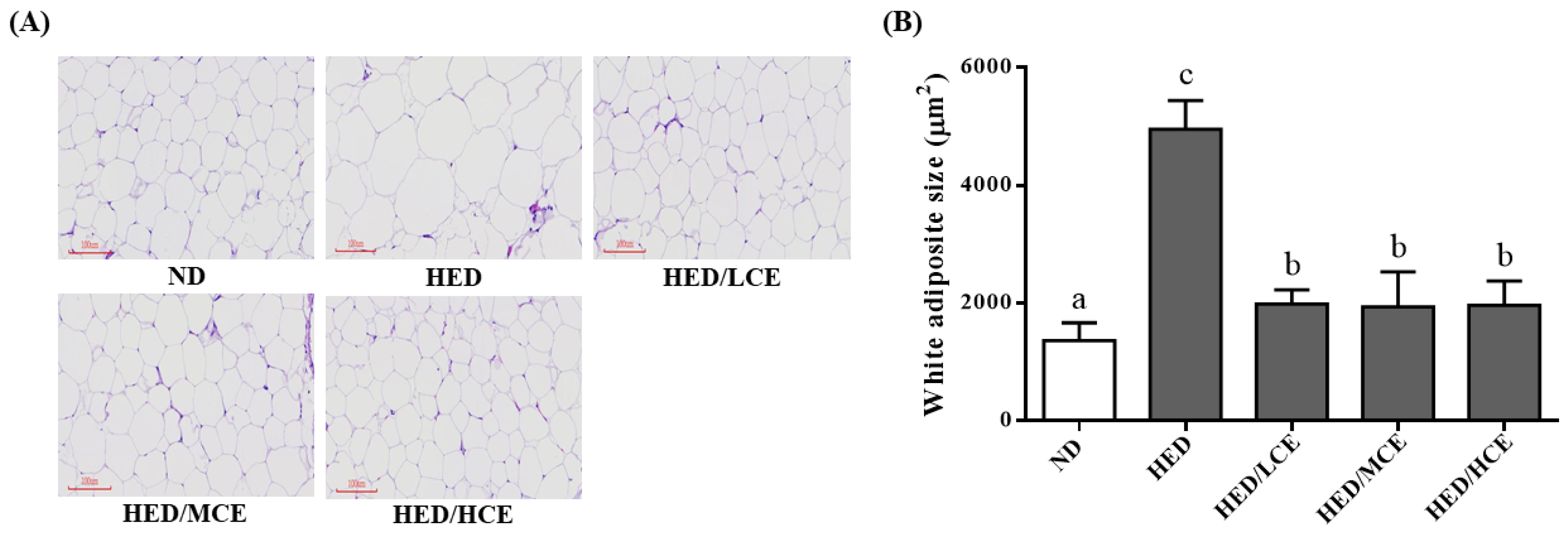 Nutrients 14 04665 g005