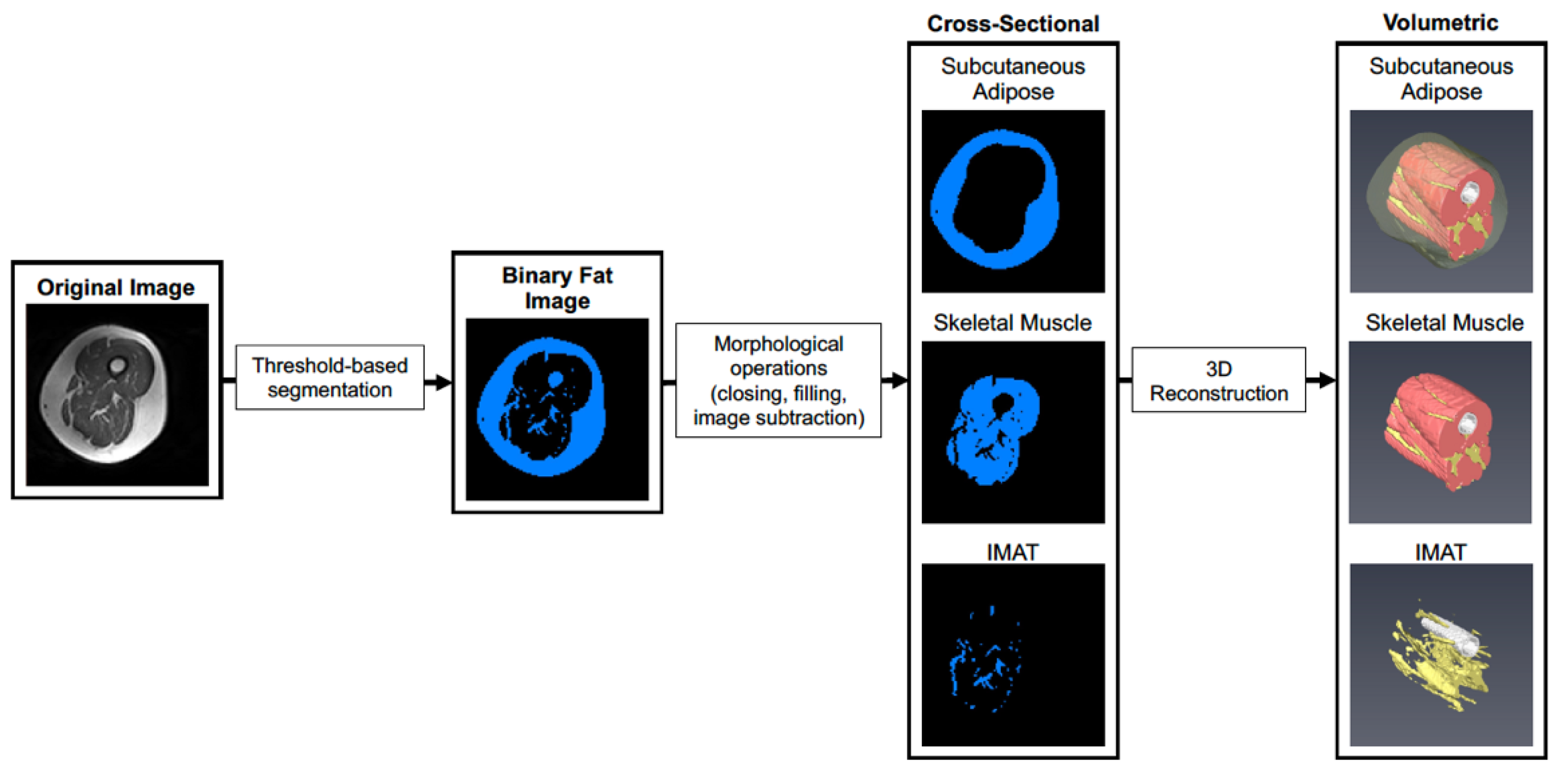 Nutrients 14 04674 g001 Nutrients 14 04674 g001