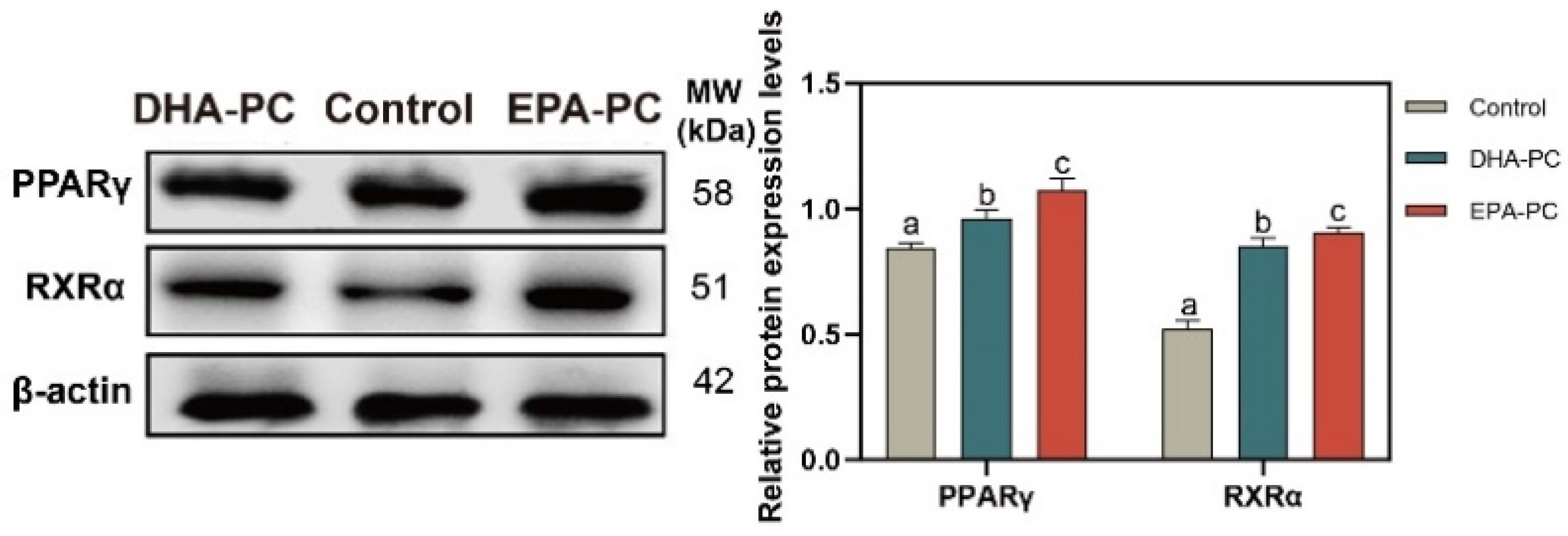 Nutrients 14 04675 g005