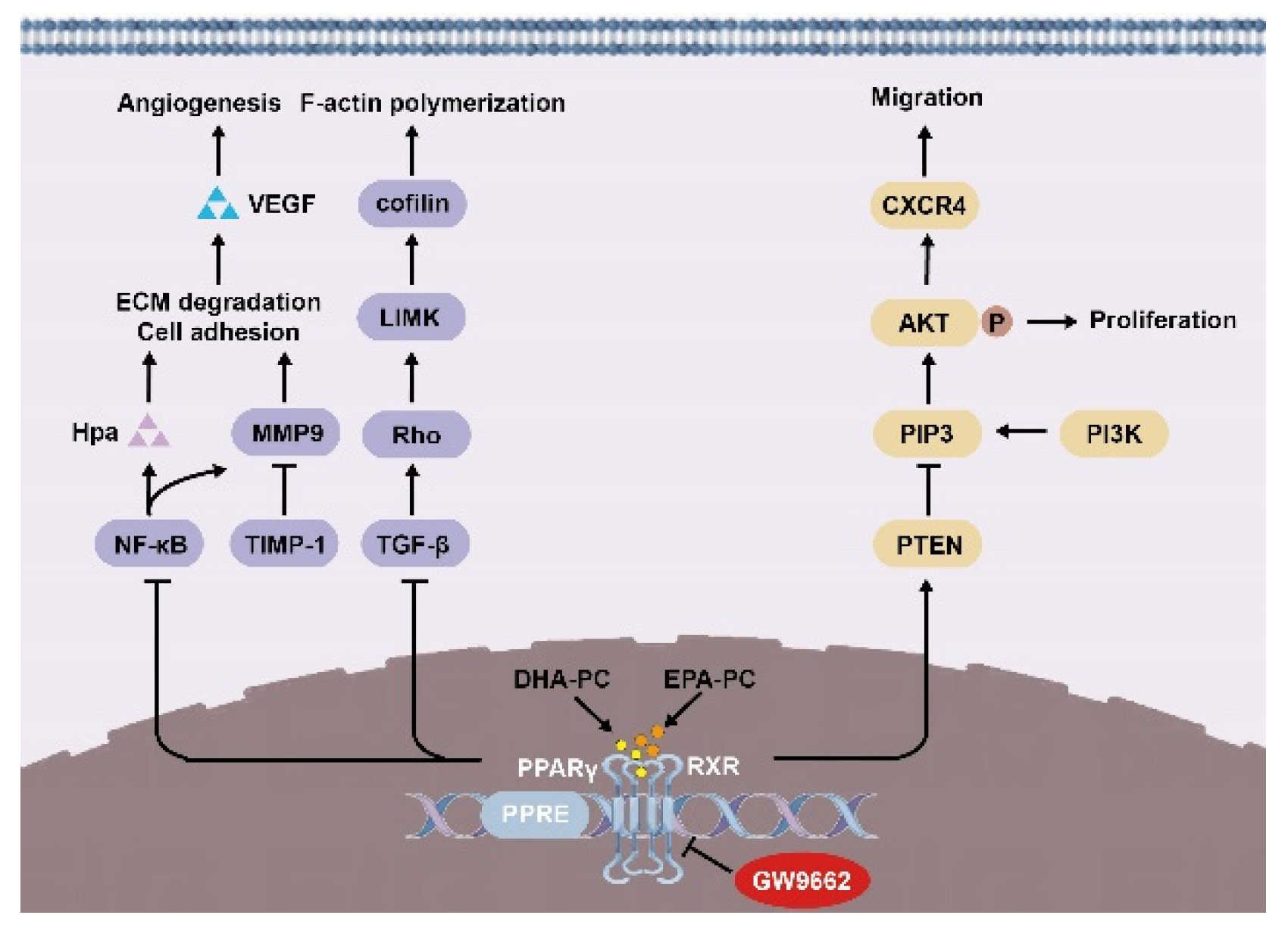 Nutrients 14 04675 g009