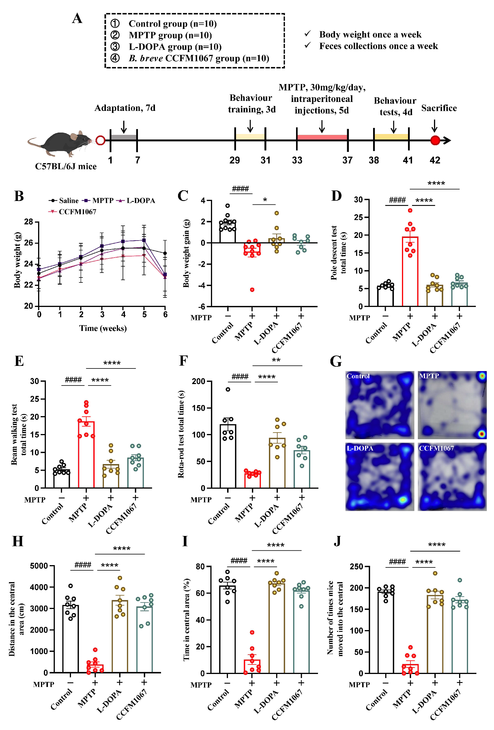 Nutrients 14 04678 g001