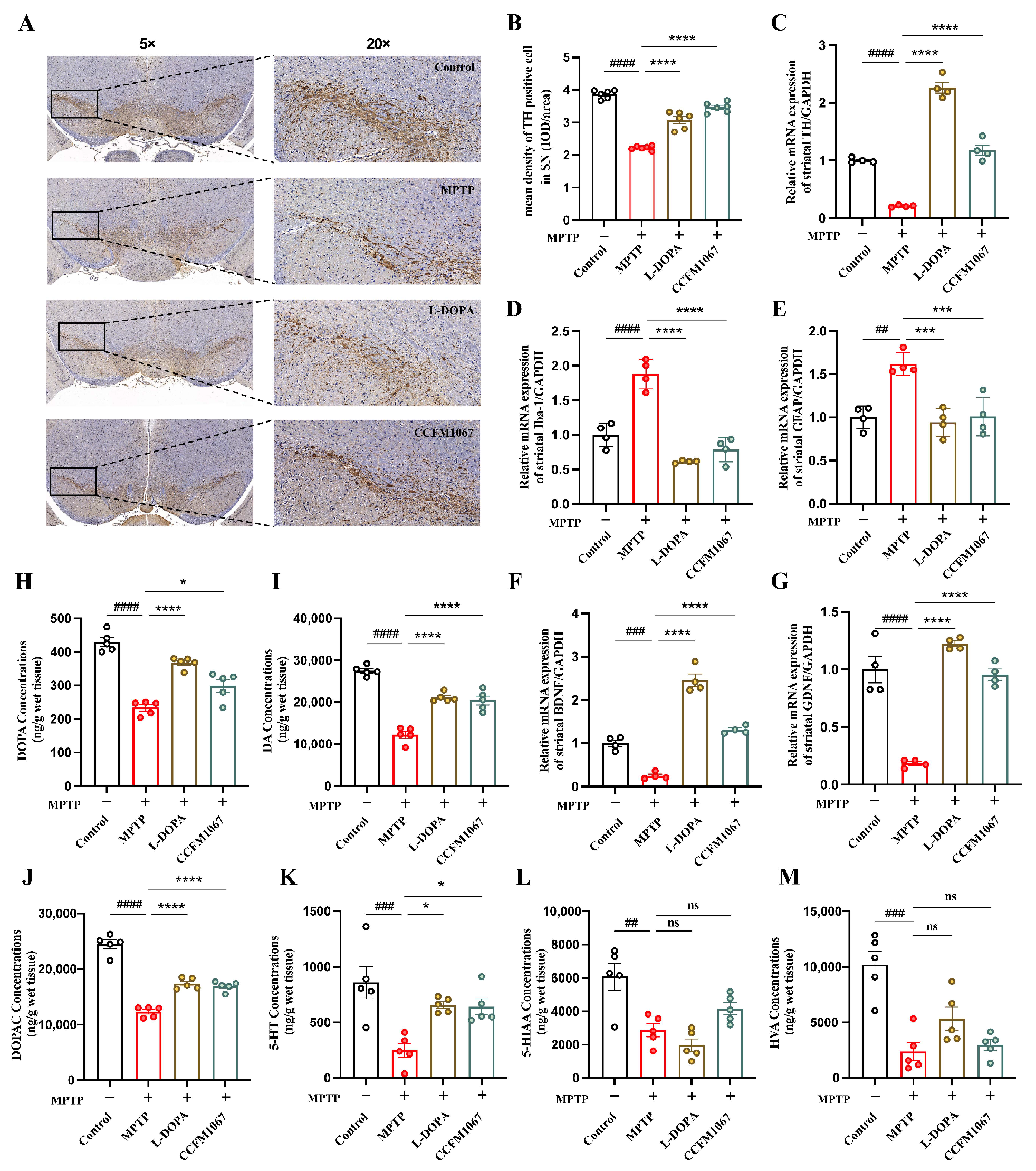 Nutrients 14 04678 g002