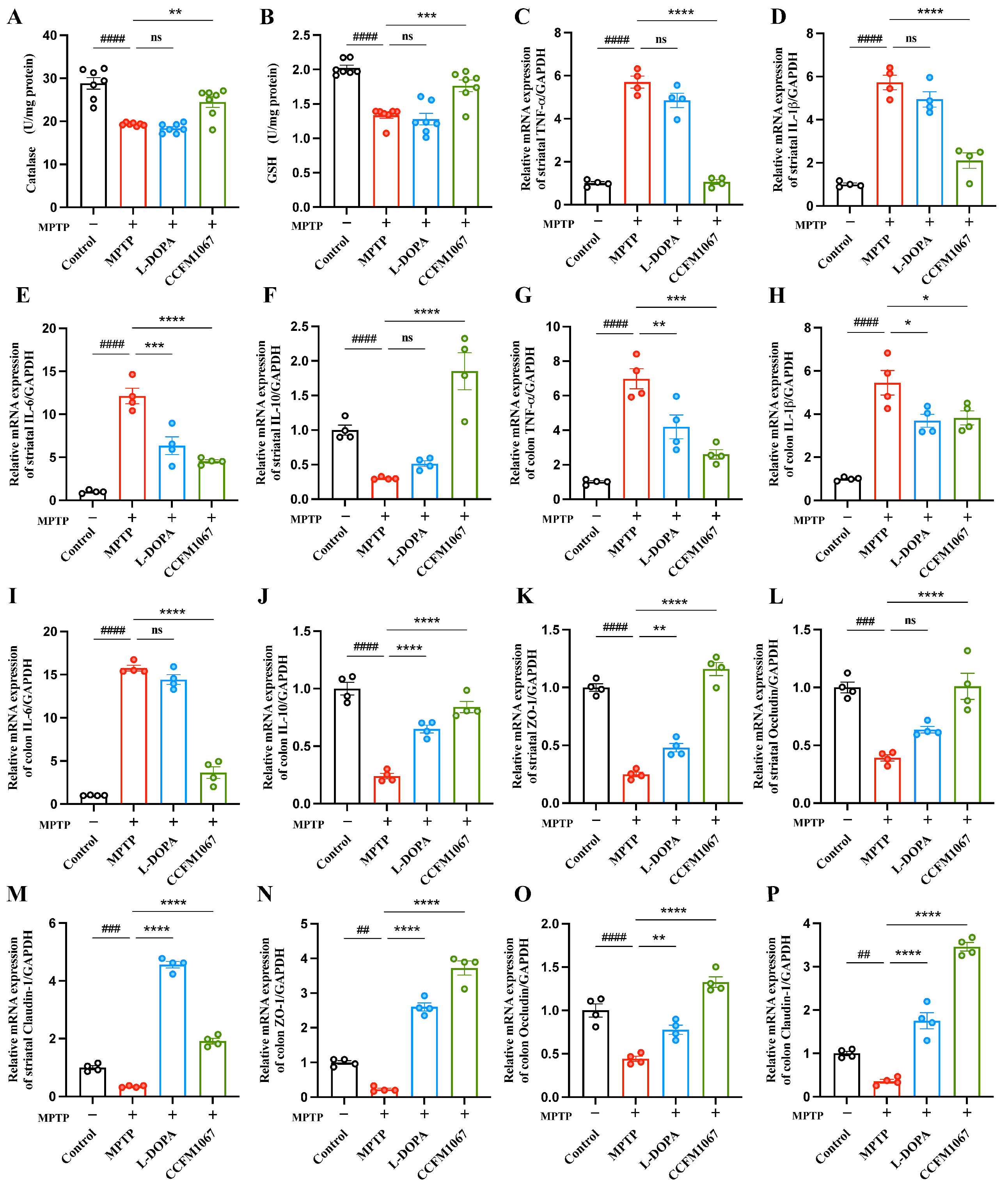 Nutrients 14 04678 g003