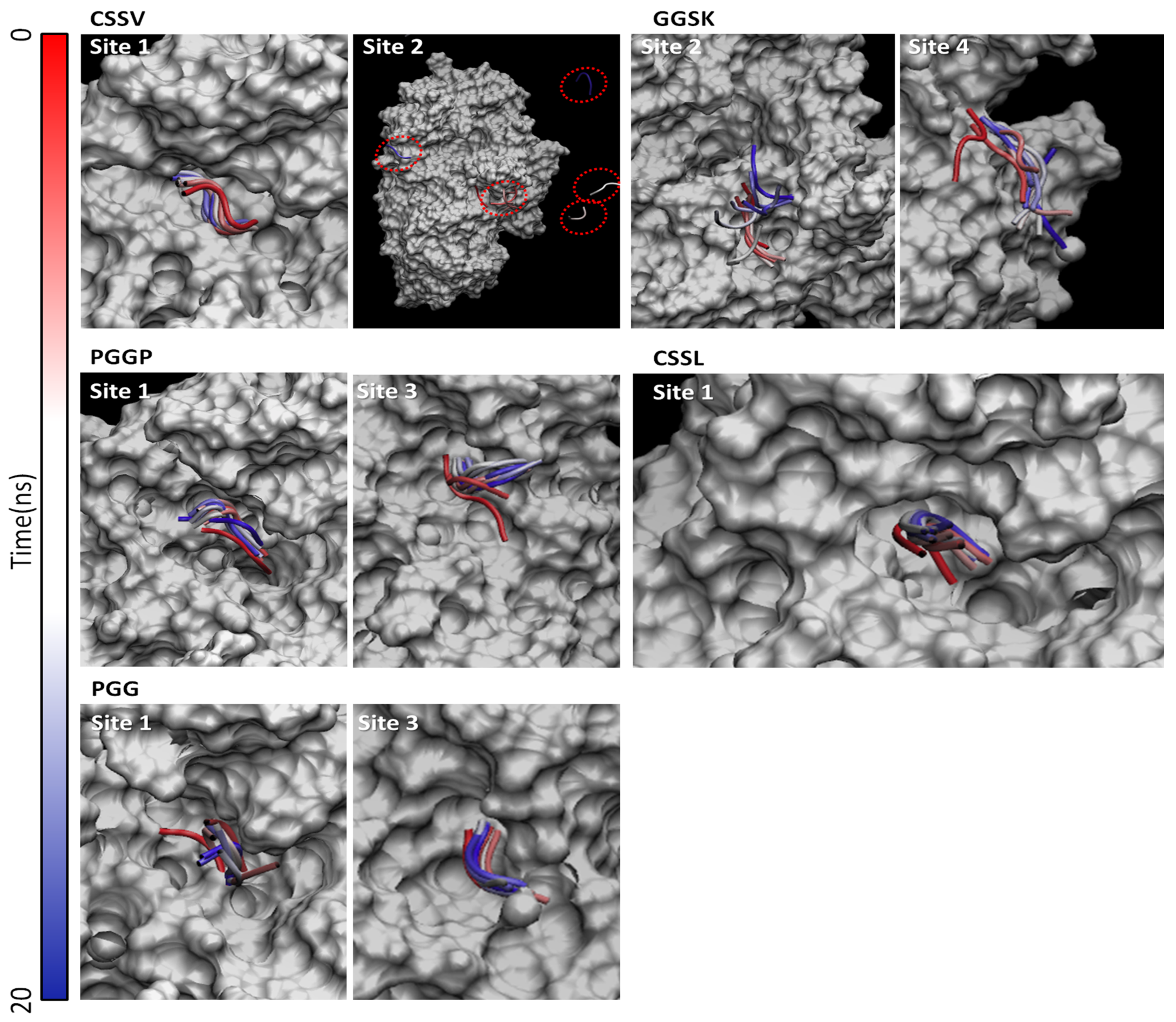 Nutrients 14 04680 g002