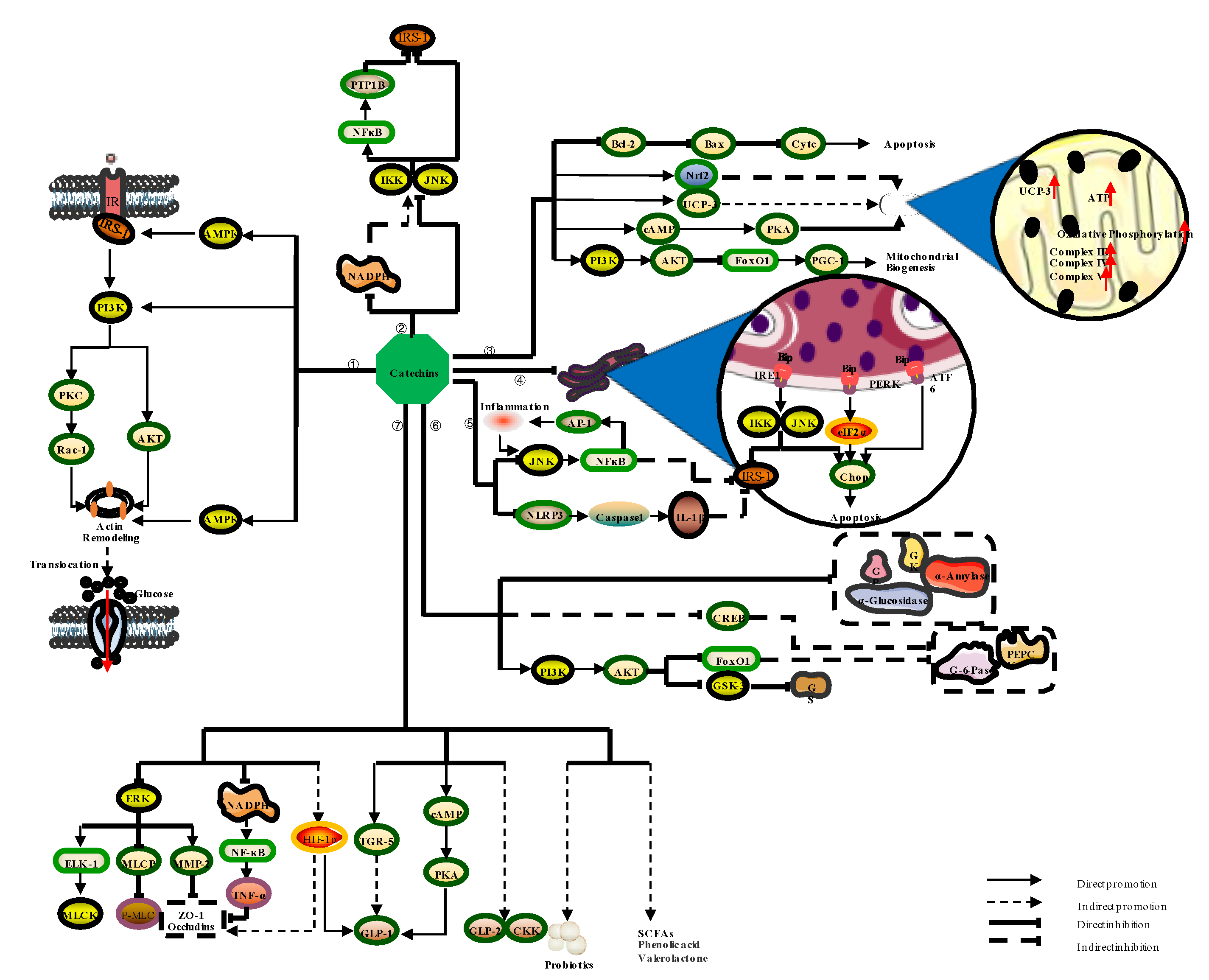 Nutrients 14 04681 g004