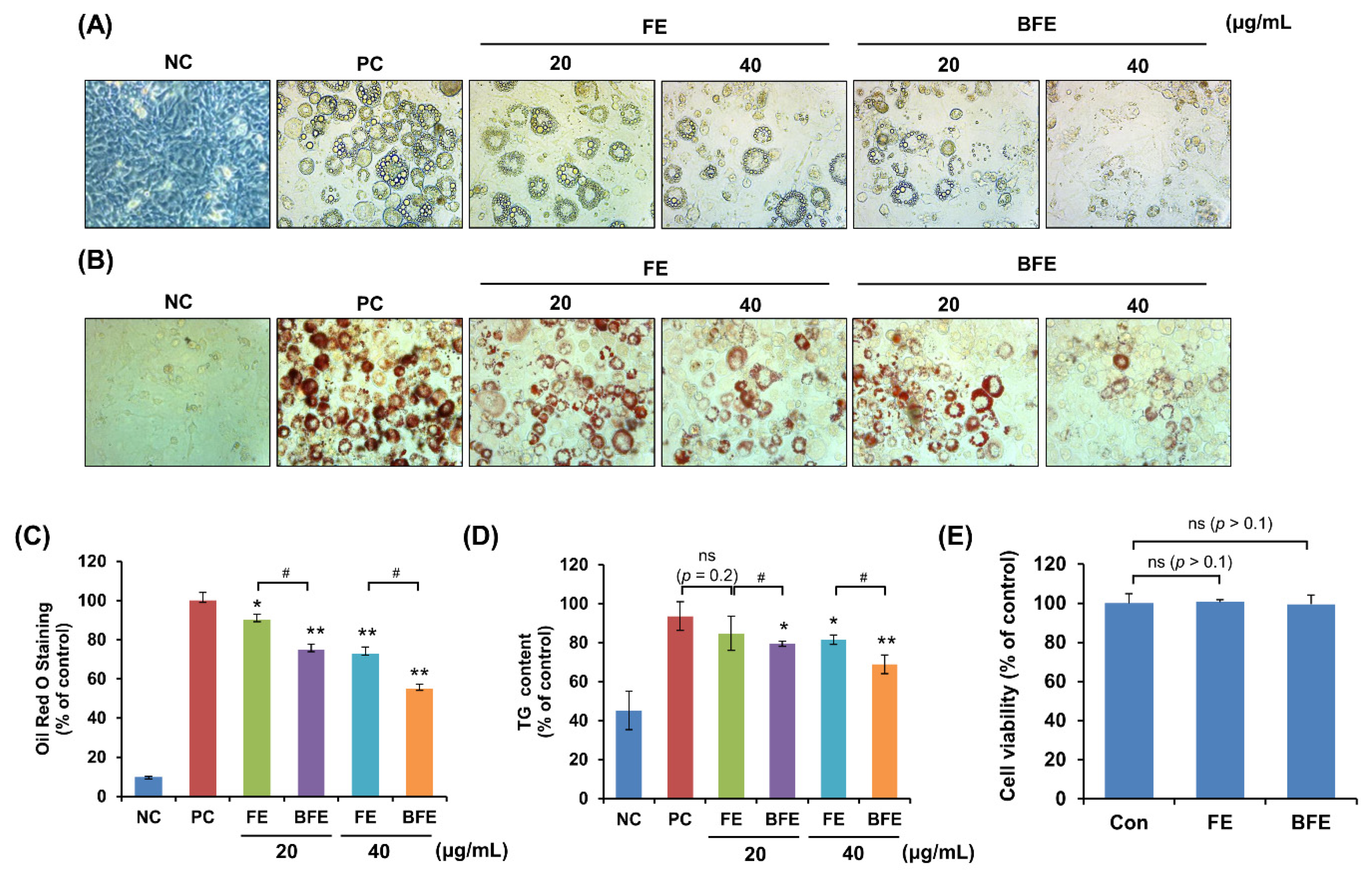 Nutrients 14 04683 g001