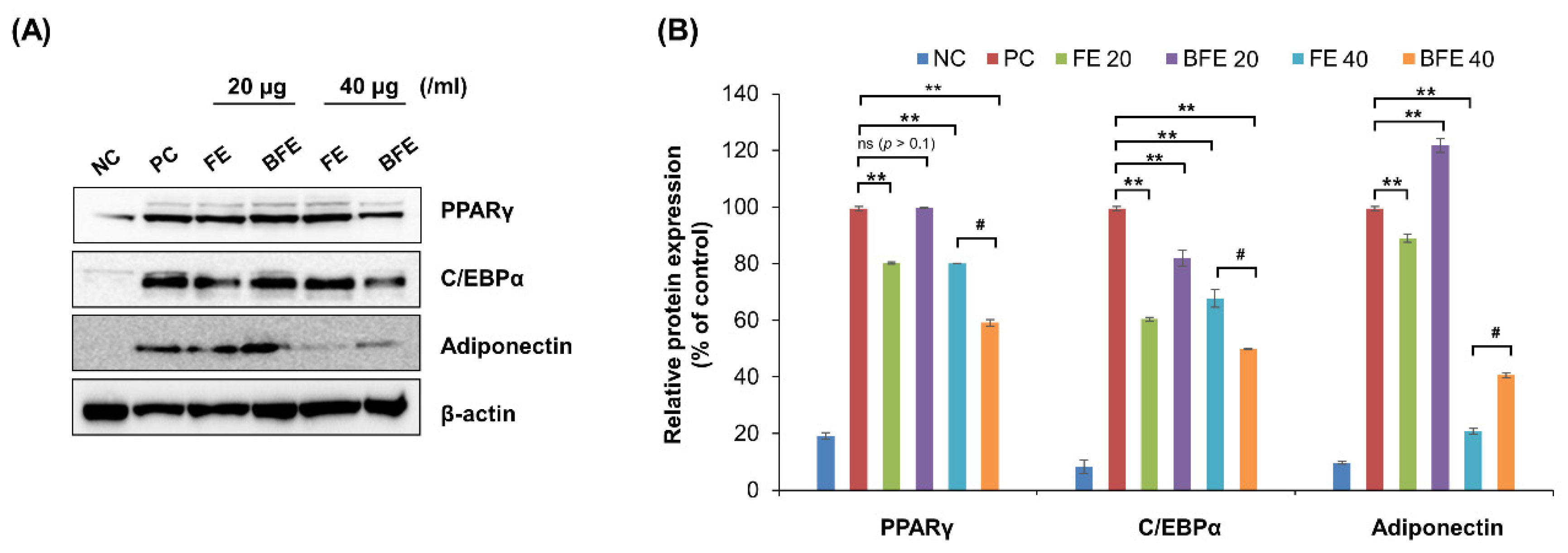 Nutrients 14 04683 g002