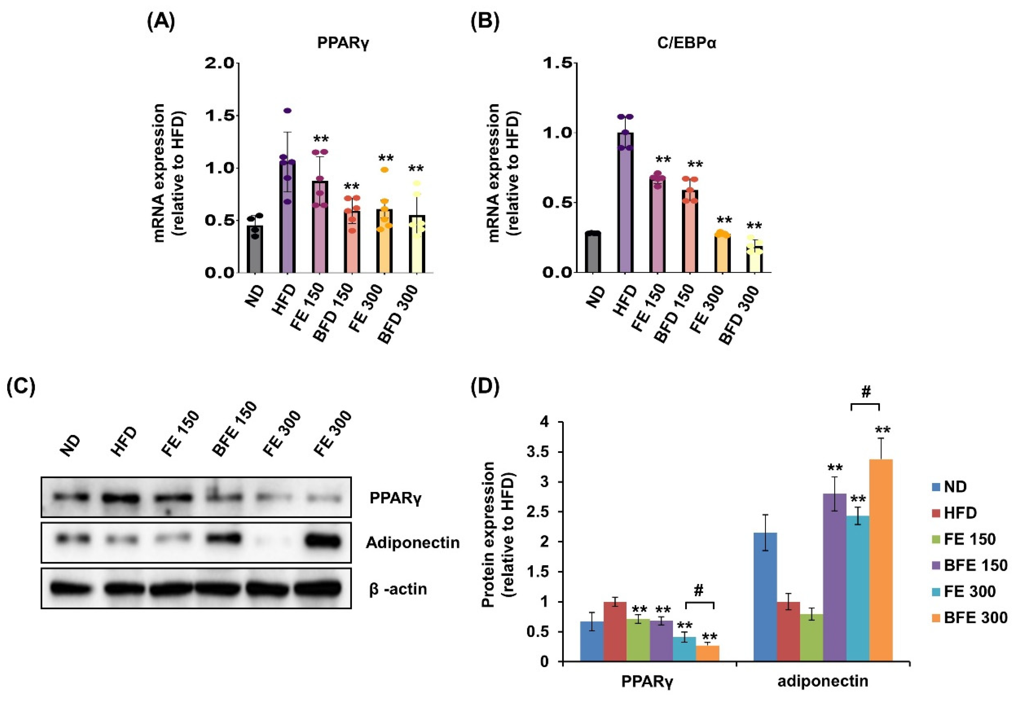 Nutrients 14 04683 g007