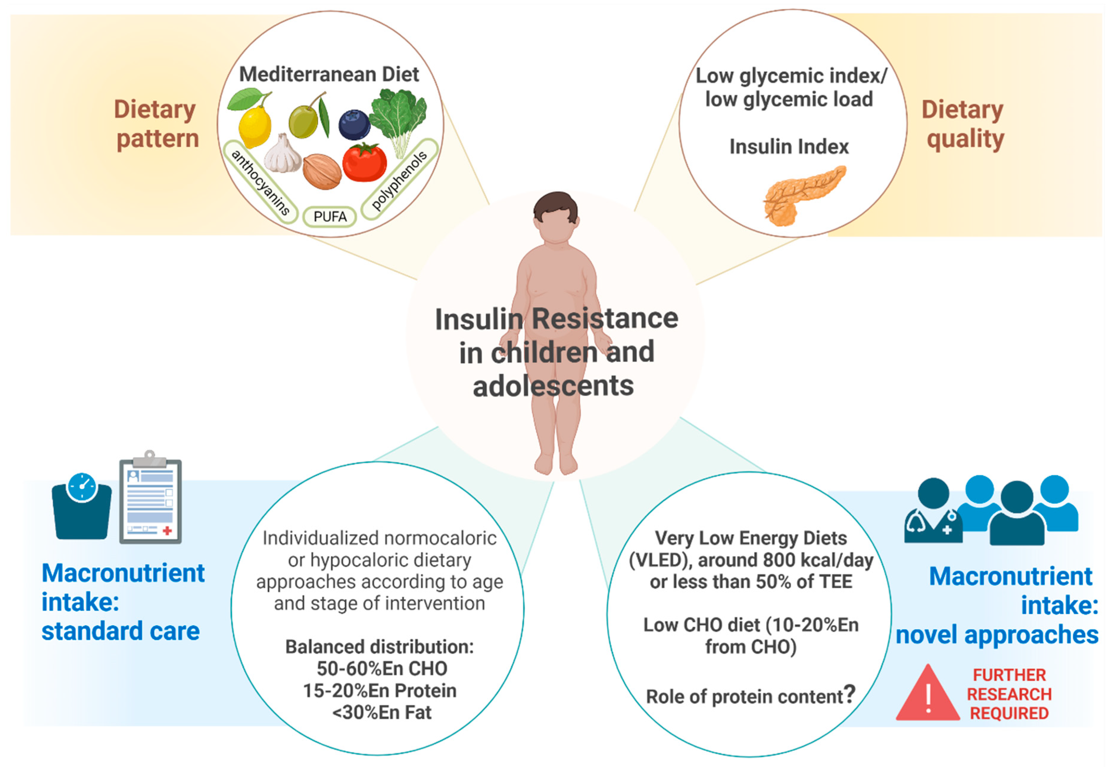 Nutrients 14 04692 g002 Nutrients 14 04692 g002