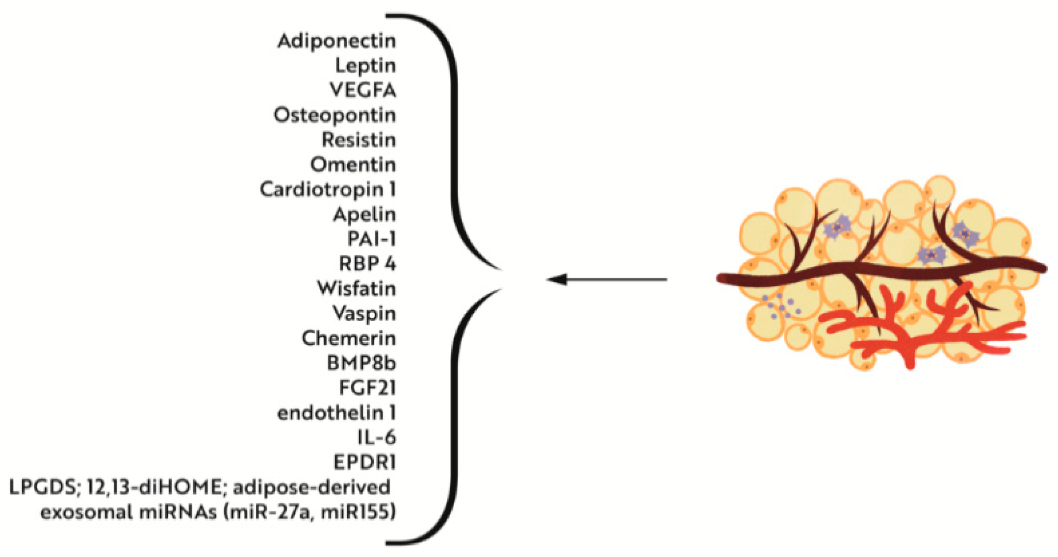 Nutrients 14 04693 g002 Nutrients 14 04693 g002