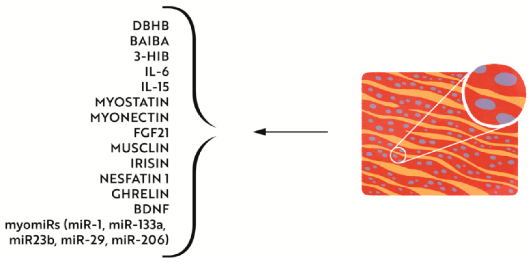 Nutrients 14 04693 g003 Nutrients 14 04693 g003