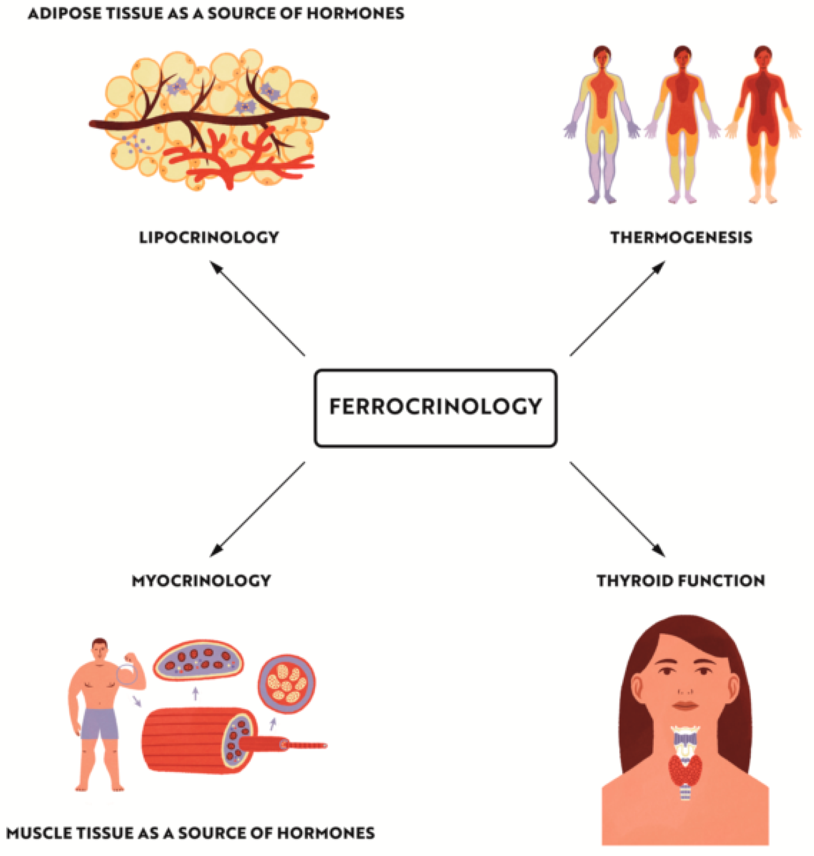 Nutrients 14 04693 g006 Nutrients 14 04693 g006