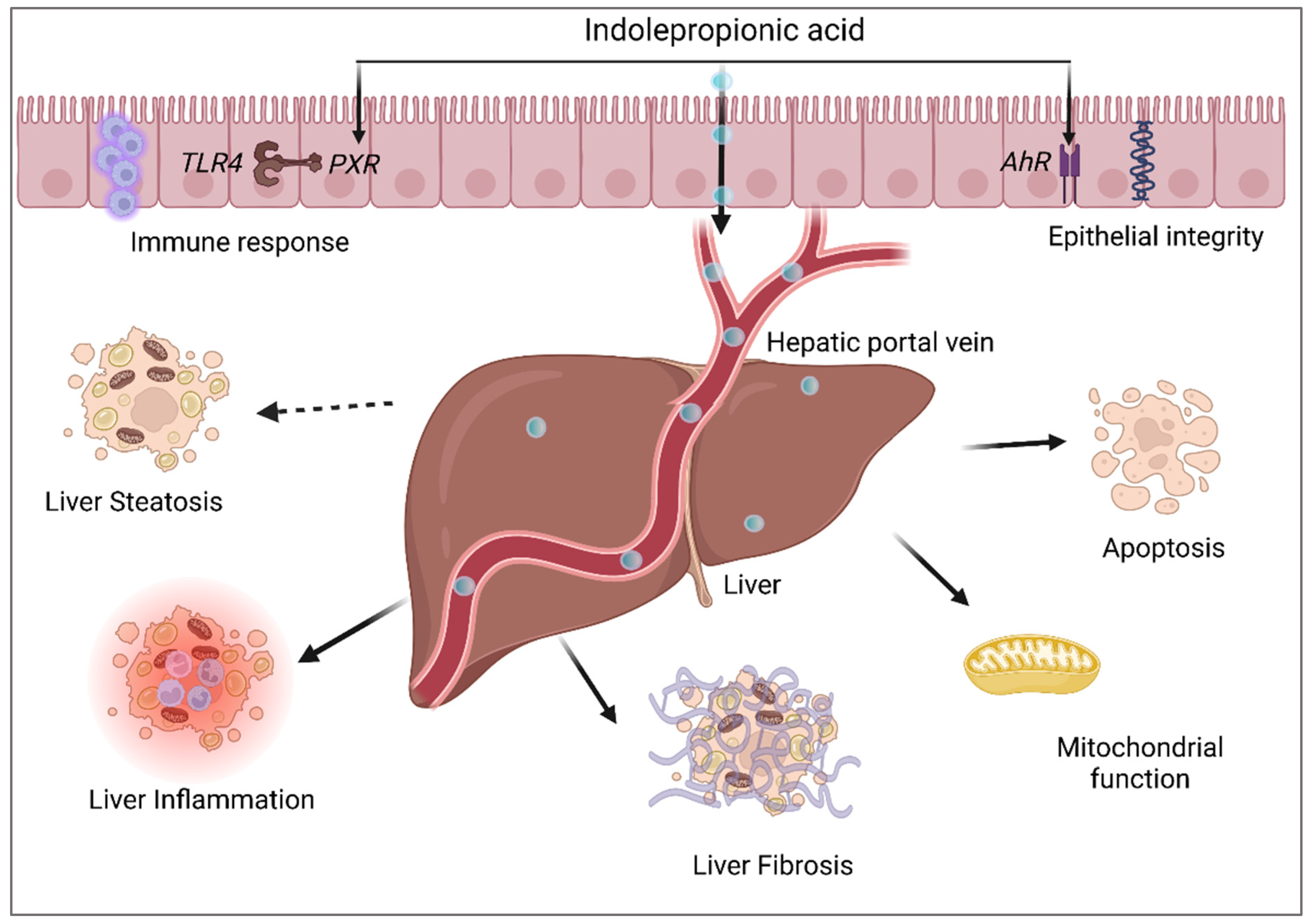 Nutrients 14 04695 g006