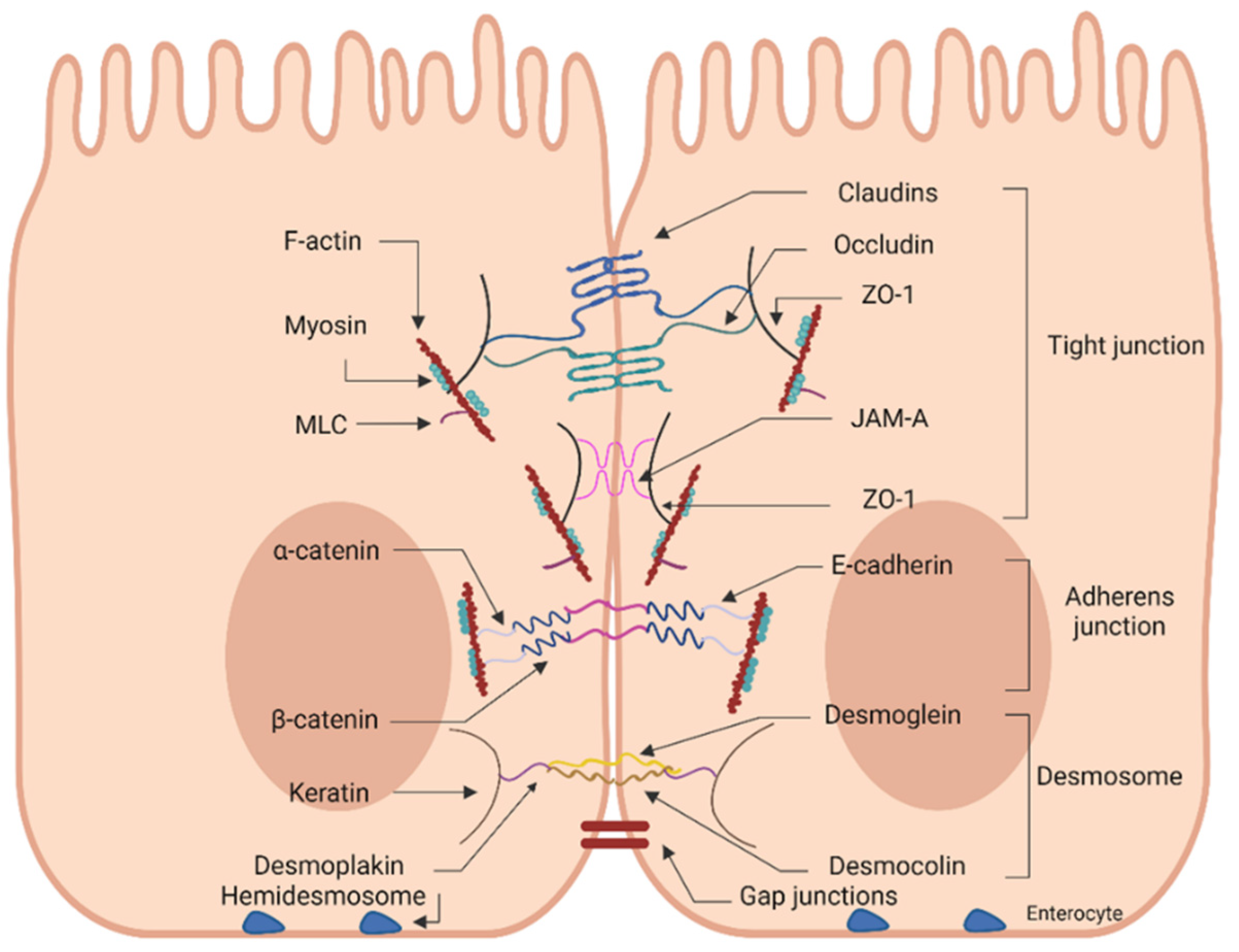 Nutrients 14 04699 g001