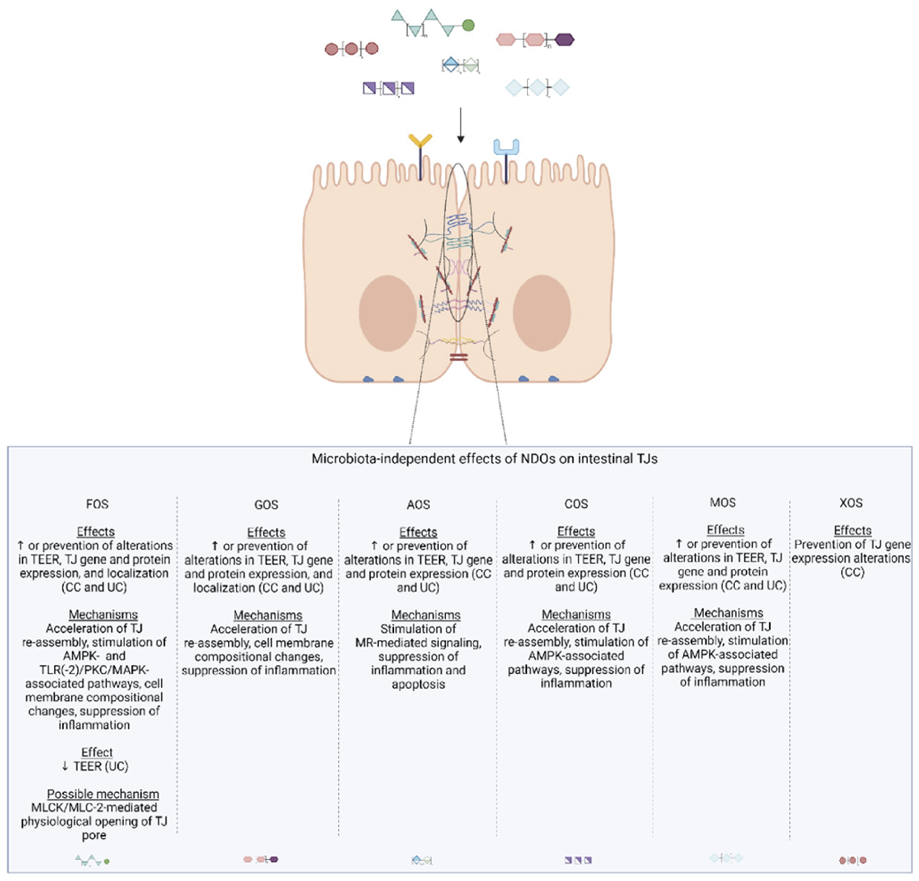Nutrients 14 04699 g009