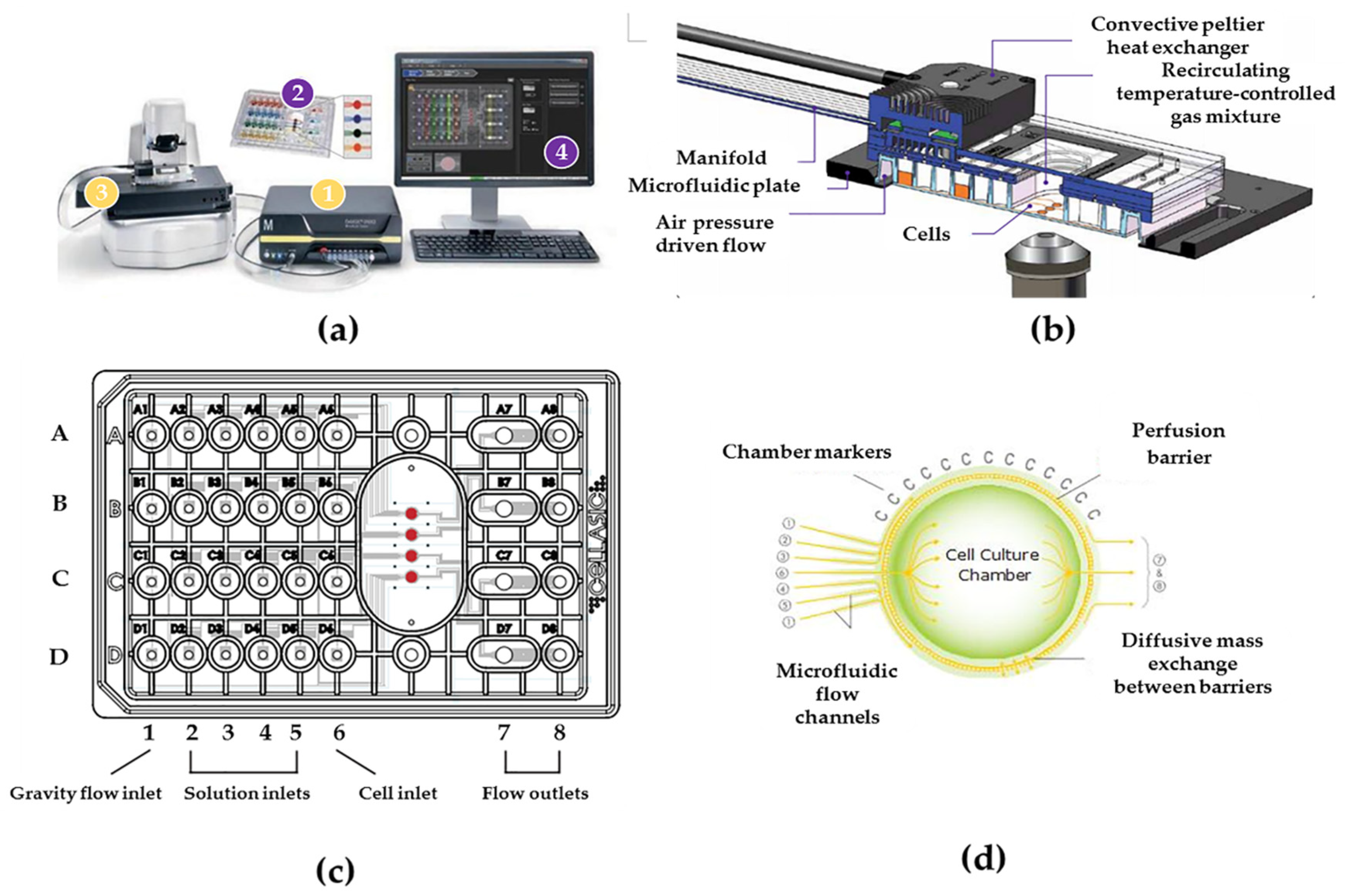 Nutrients 14 04728 g001